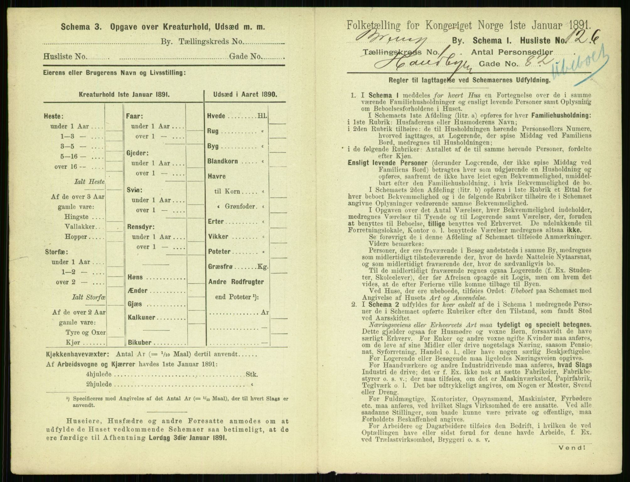 RA, 1891 census for 0804 Brevik, 1891, p. 269