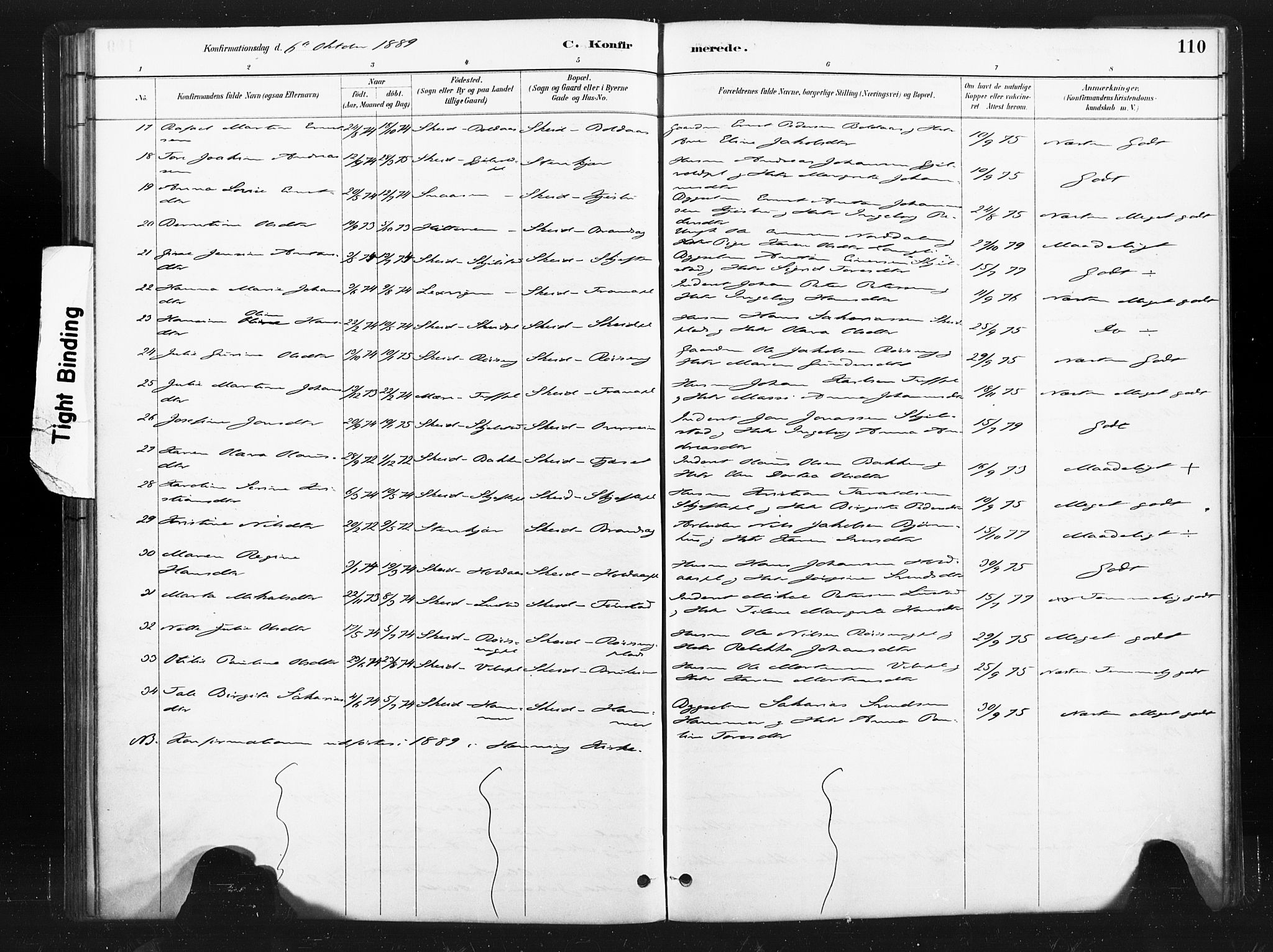 Ministerialprotokoller, klokkerbøker og fødselsregistre - Nord-Trøndelag, SAT/A-1458/736/L0361: Parish register (official) no. 736A01, 1884-1906, p. 110