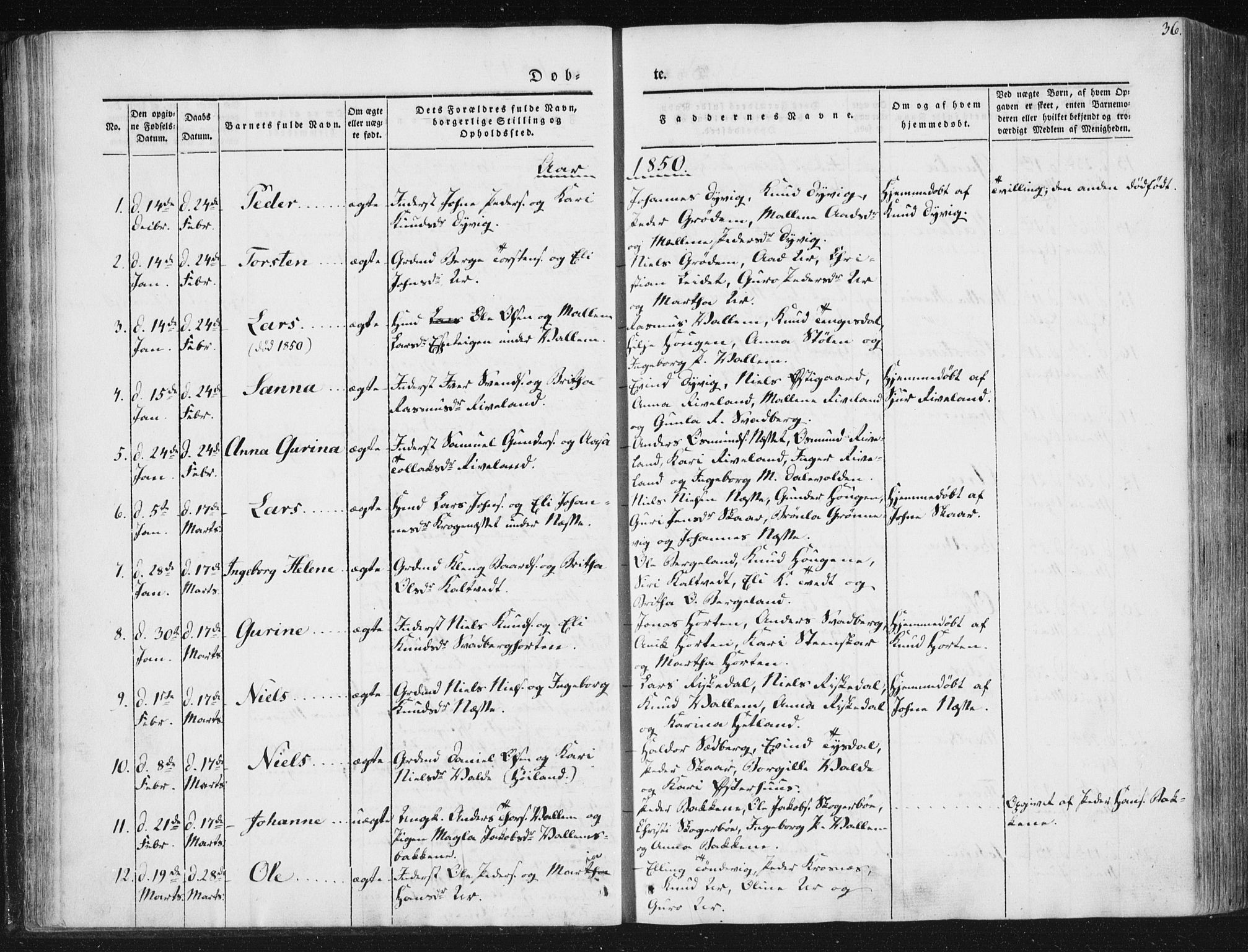 Hjelmeland sokneprestkontor, AV/SAST-A-101843/01/IV/L0008: Parish register (official) no. A 8, 1842-1861, p. 36