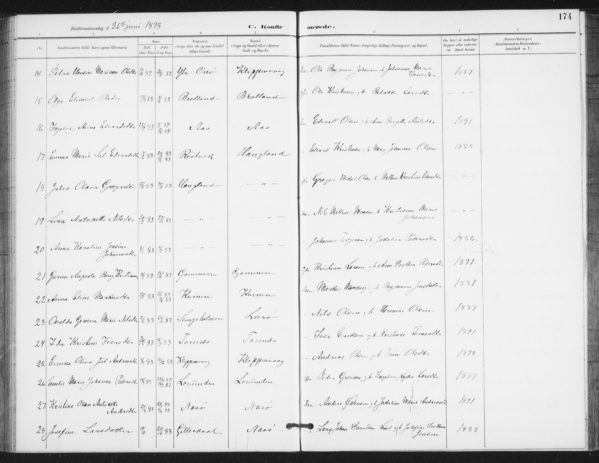 Ministerialprotokoller, klokkerbøker og fødselsregistre - Nordland, AV/SAT-A-1459/839/L0573: Parish register (copy) no. 839C03, 1892-1917, p. 174