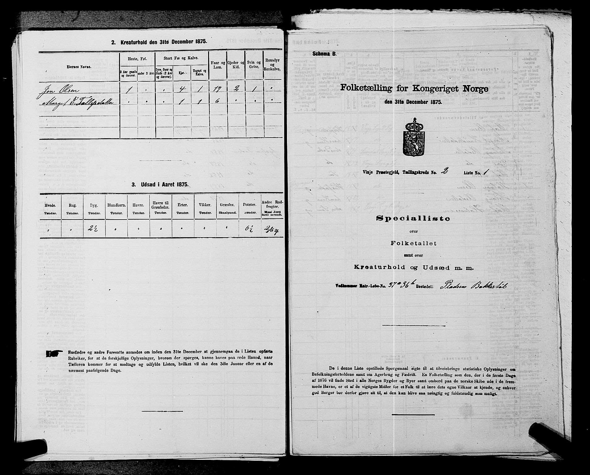 SAKO, 1875 census for 0834P Vinje, 1875, p. 215