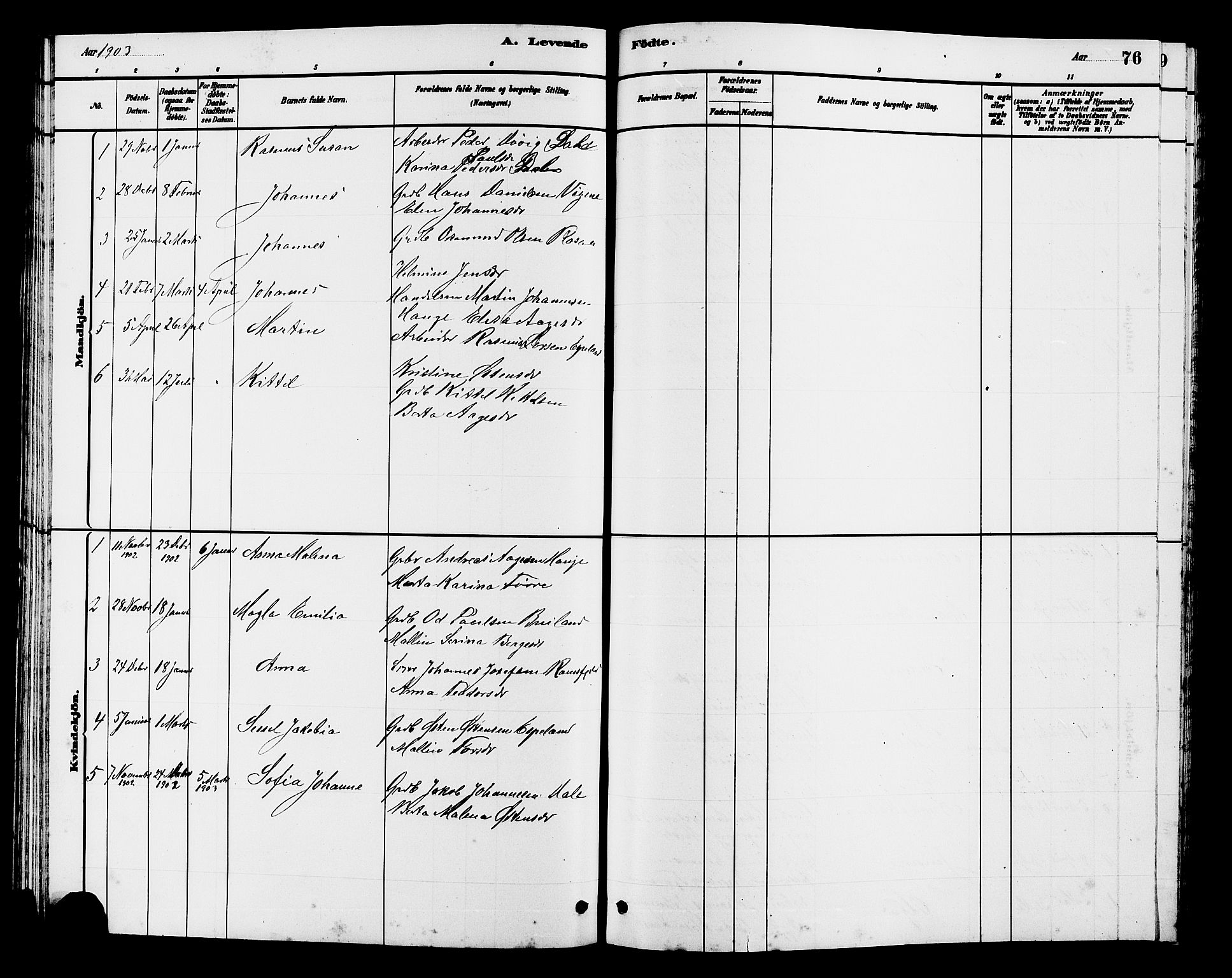 Hjelmeland sokneprestkontor, AV/SAST-A-101843/01/V/L0007: Parish register (copy) no. B 7, 1880-1909, p. 76