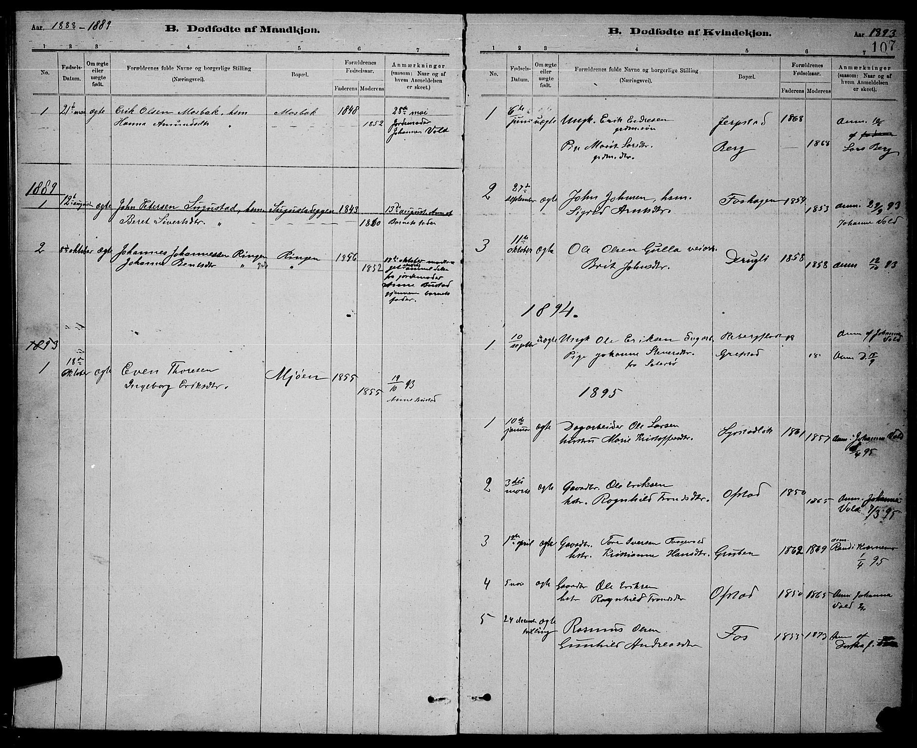 Ministerialprotokoller, klokkerbøker og fødselsregistre - Sør-Trøndelag, SAT/A-1456/672/L0863: Parish register (copy) no. 672C02, 1888-1901, p. 107