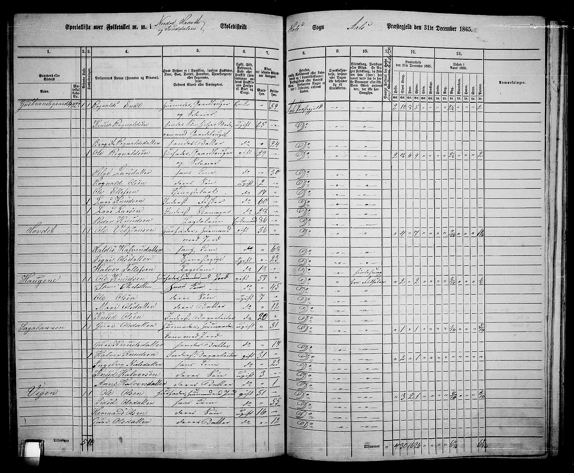 RA, 1865 census for Ål, 1865, p. 217