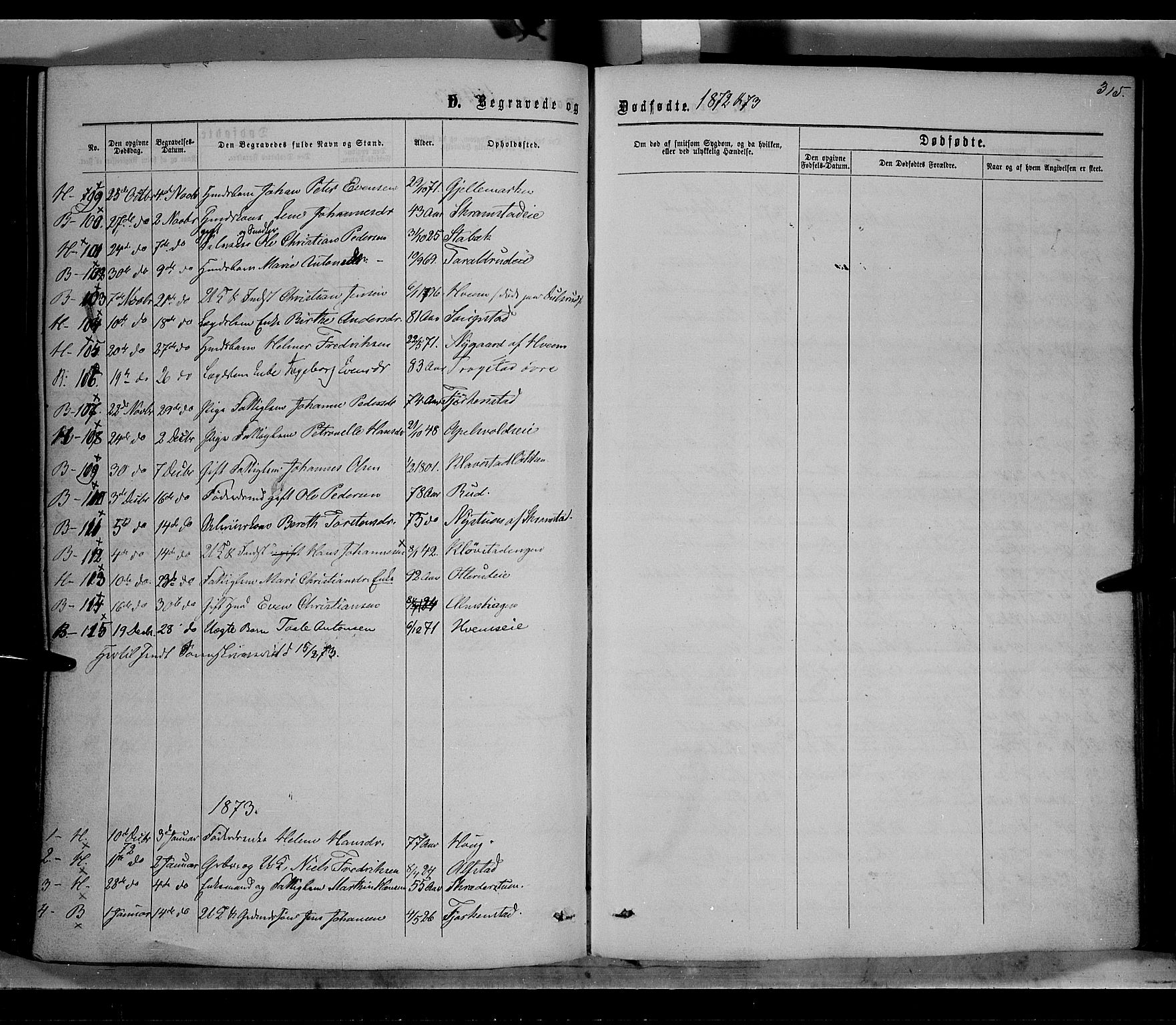 Østre Toten prestekontor, SAH/PREST-104/H/Ha/Haa/L0005: Parish register (official) no. 5, 1866-1877, p. 315