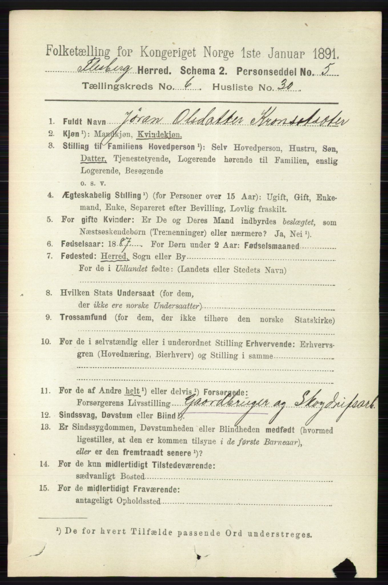 RA, 1891 census for 0631 Flesberg, 1891, p. 1129