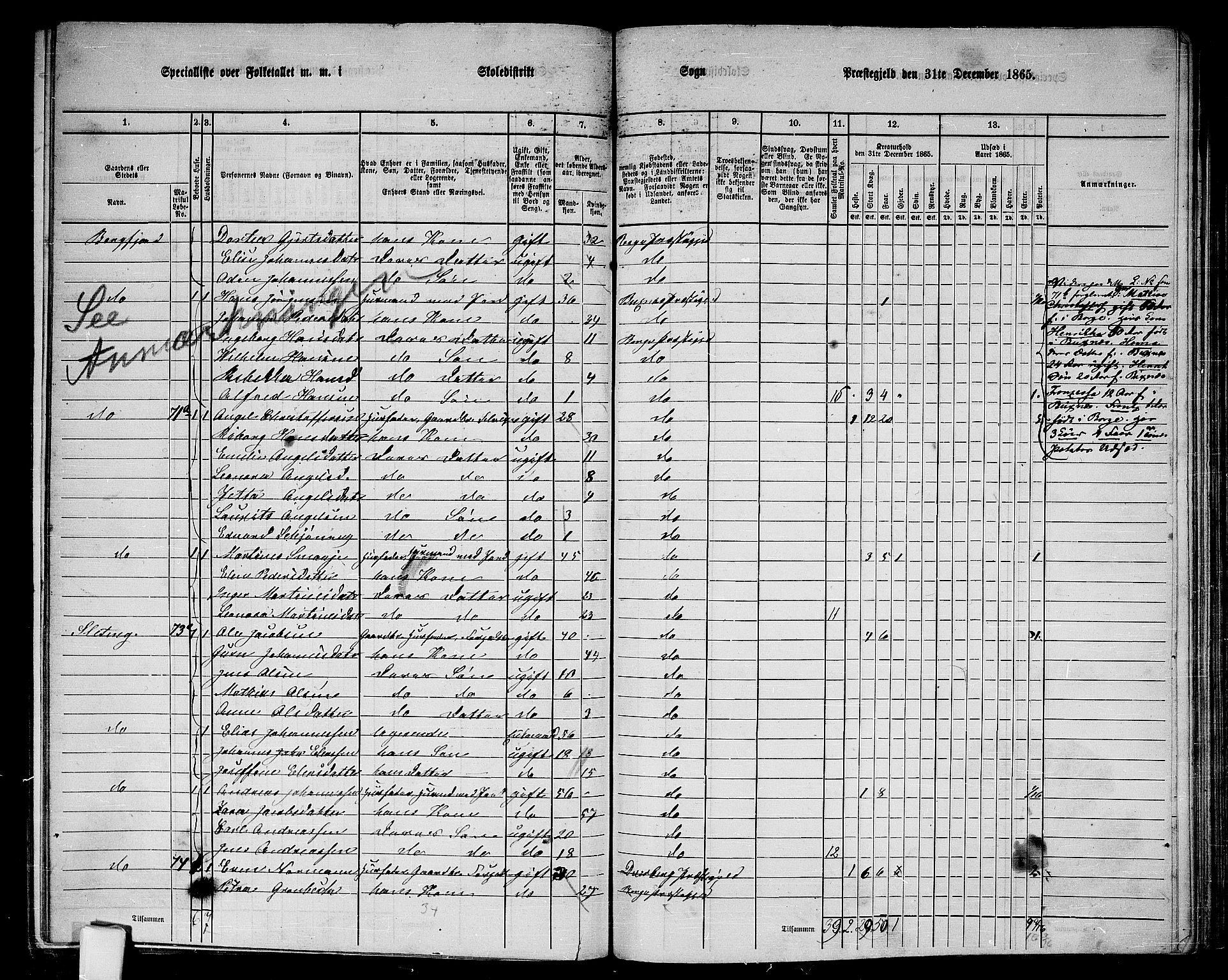 RA, 1865 census for Borge, 1865, p. 33