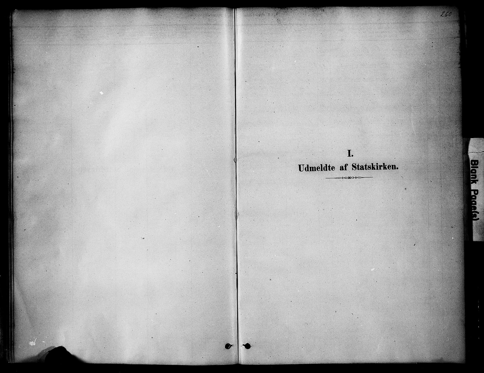 Ringsaker prestekontor, AV/SAH-PREST-014/K/Ka/L0014: Parish register (official) no. 14, 1879-1890, p. 260