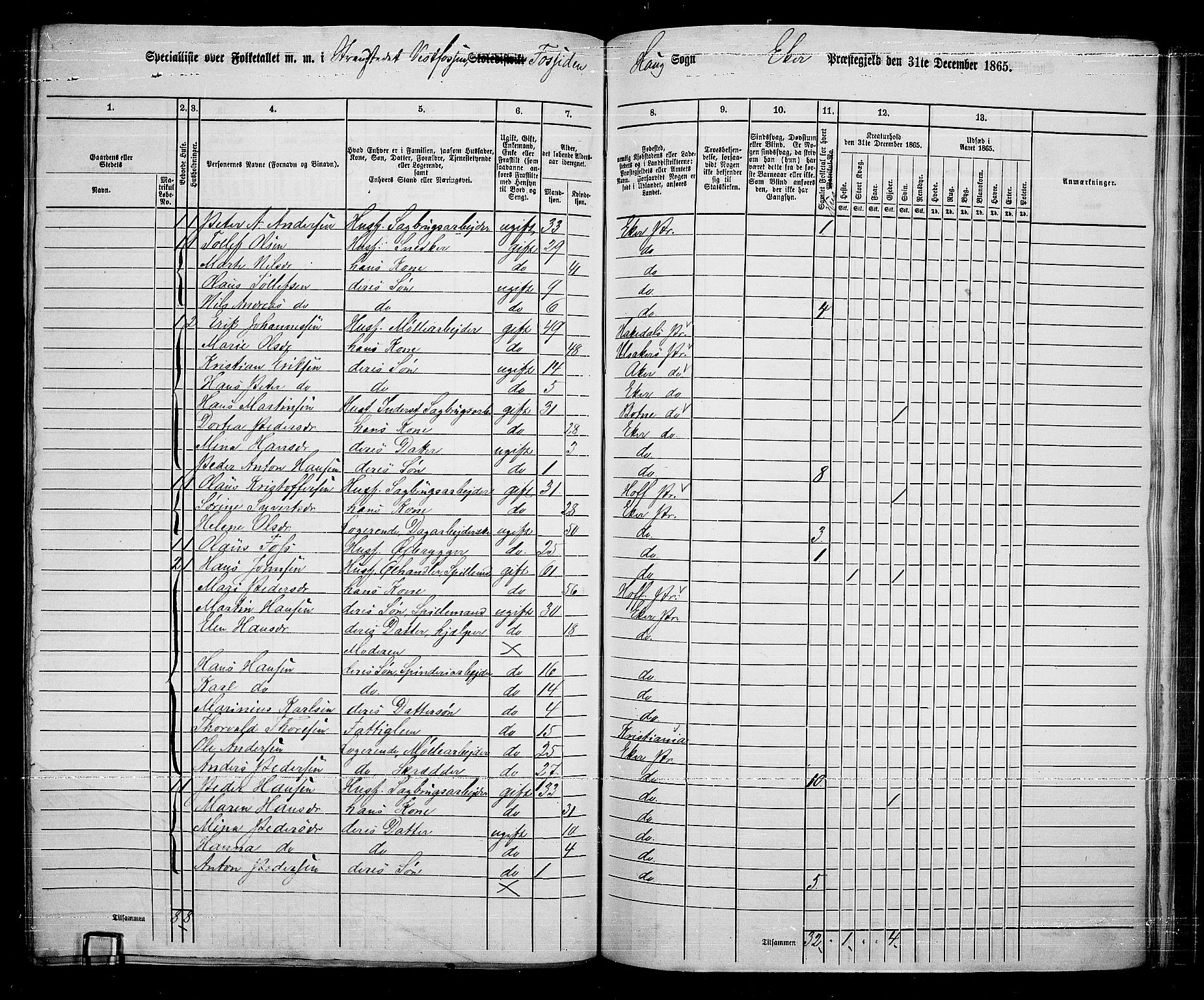 RA, 1865 census for Eiker, 1865, p. 229