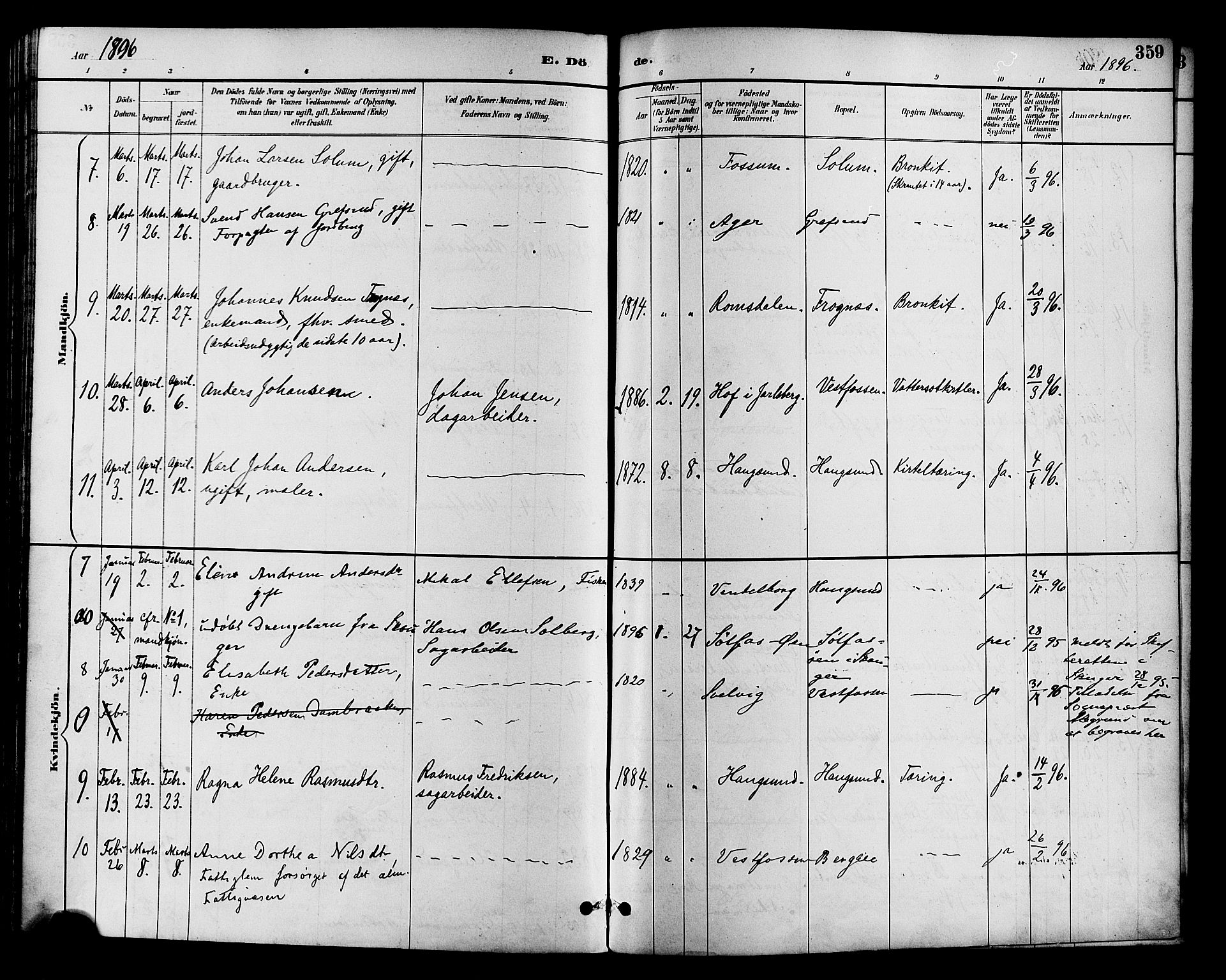 Eiker kirkebøker, SAKO/A-4/F/Fb/L0002: Parish register (official) no. II 2, 1889-1896, p. 359
