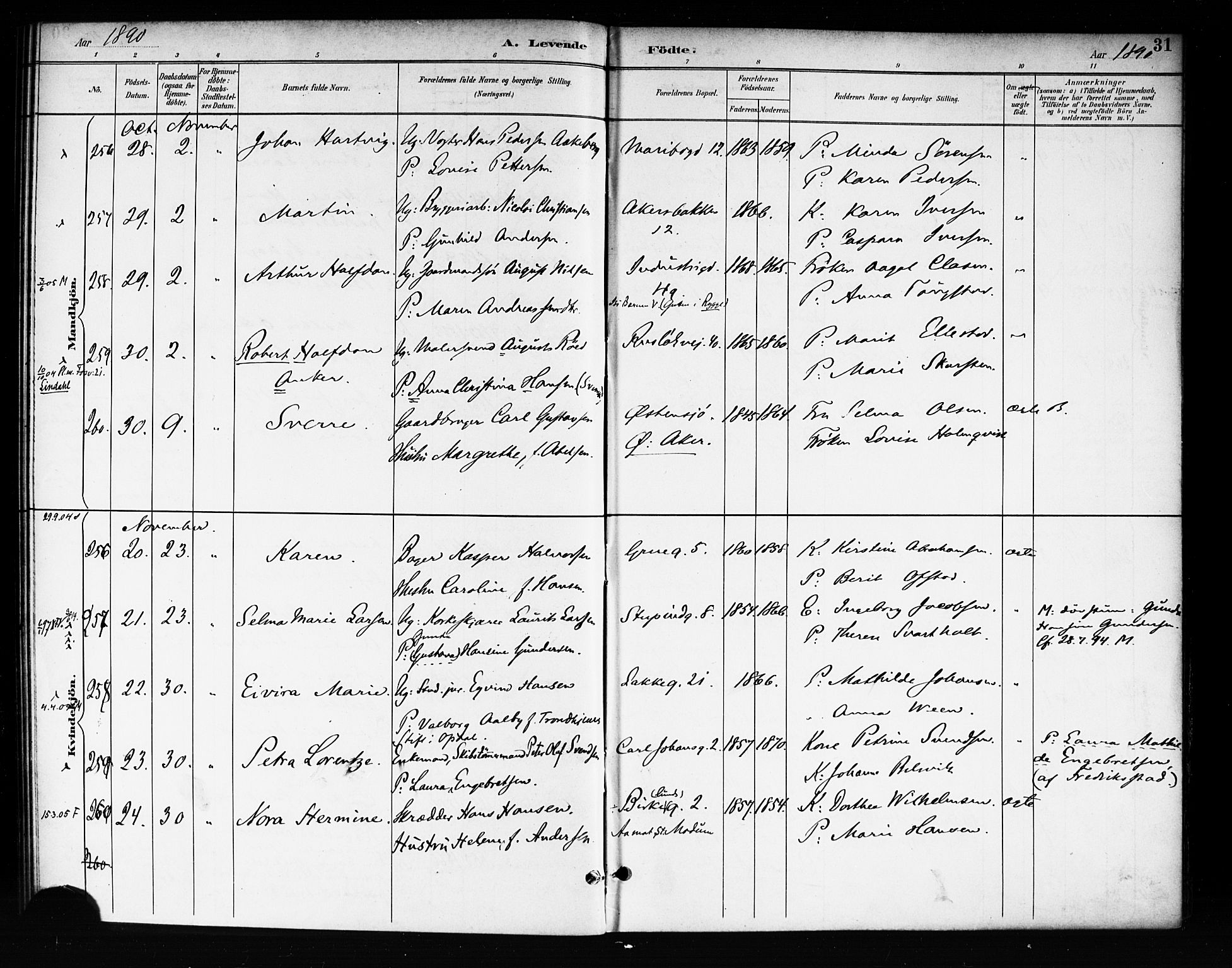 Rikshospitalet prestekontor Kirkebøker, SAO/A-10309b/F/L0008: Parish register (official) no. 8, 1890-1893, p. 31