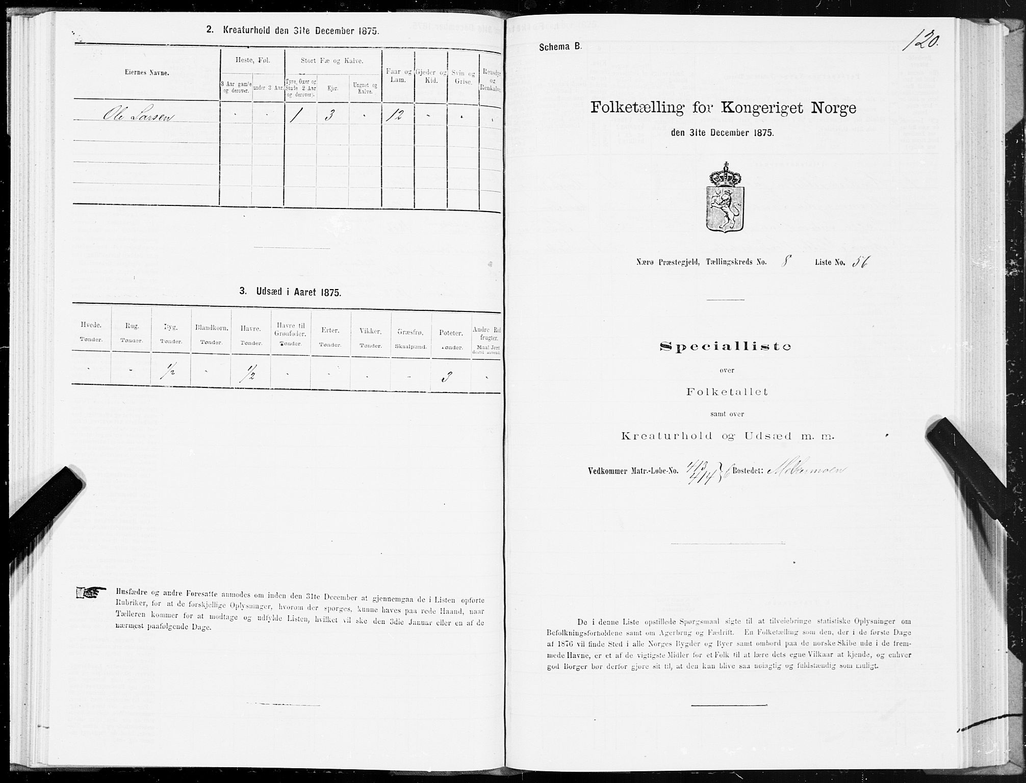 SAT, 1875 census for 1751P Nærøy, 1875, p. 4120