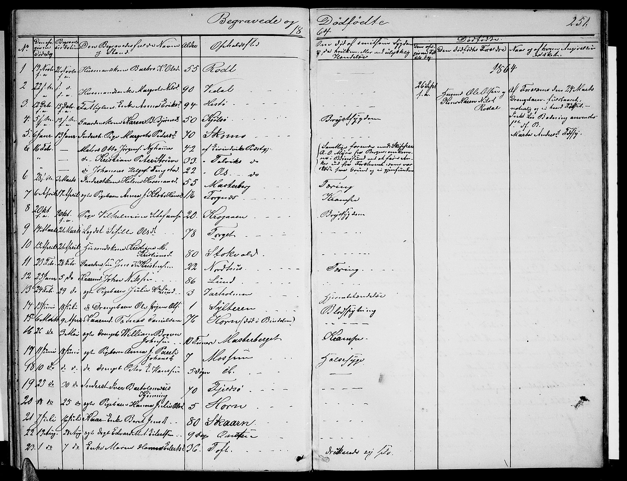 Ministerialprotokoller, klokkerbøker og fødselsregistre - Nordland, SAT/A-1459/813/L0212: Parish register (copy) no. 813C04, 1864-1886, p. 251
