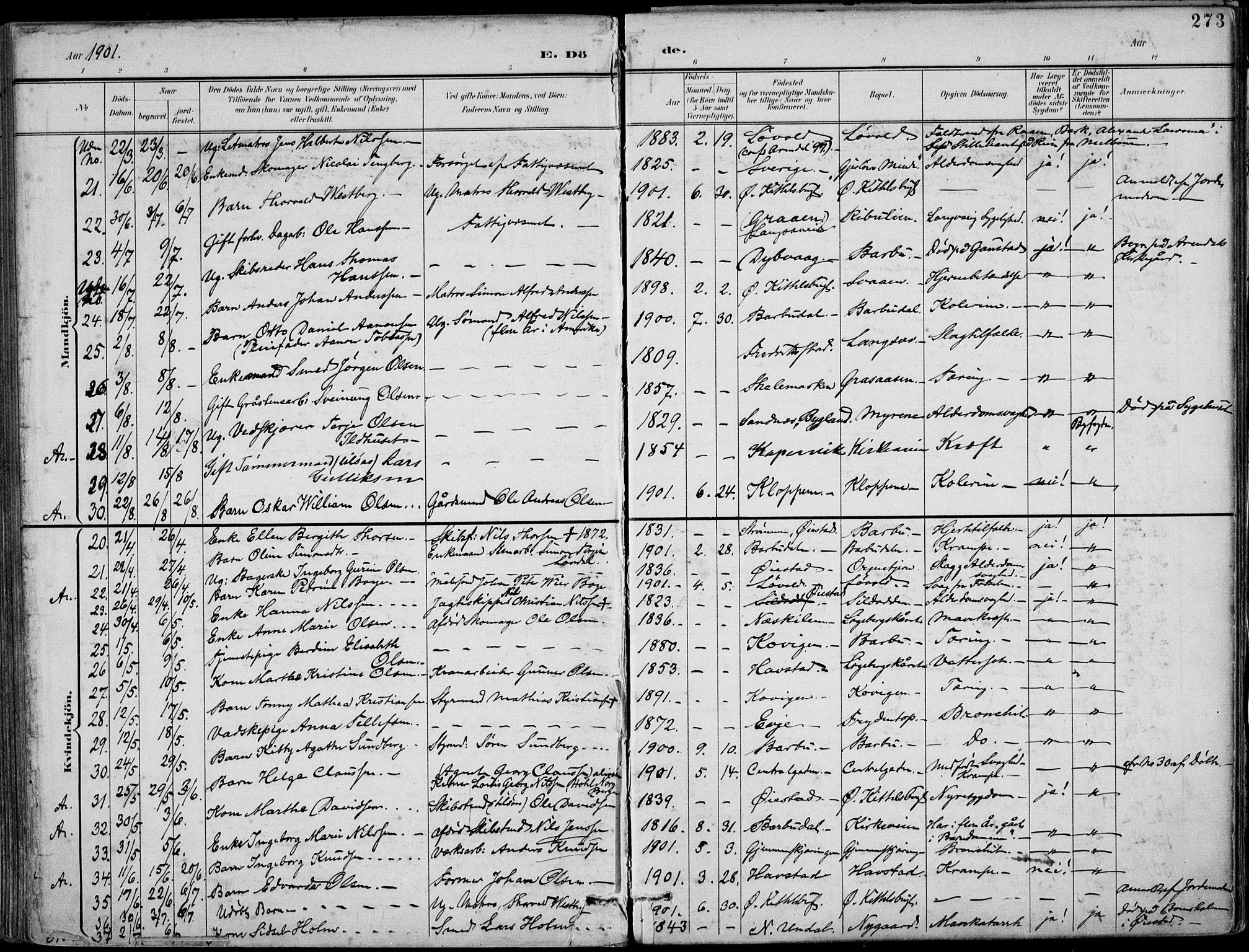 Barbu sokneprestkontor, AV/SAK-1111-0003/F/Fa/L0005: Parish register (official) no. A 5, 1899-1909, p. 273