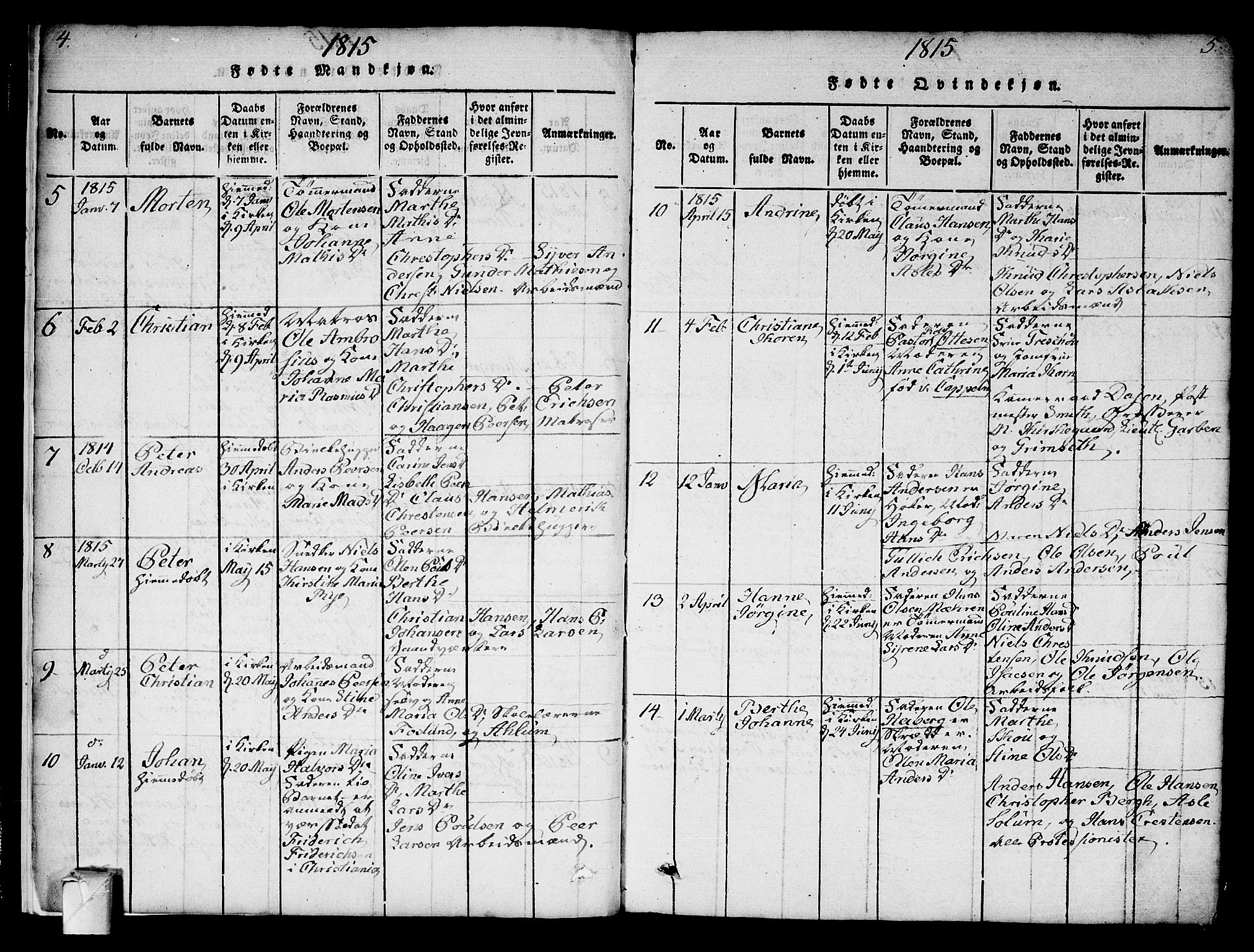 Strømsø kirkebøker, AV/SAKO-A-246/F/Fa/L0011: Parish register (official) no. I 11, 1815-1829, p. 4-5