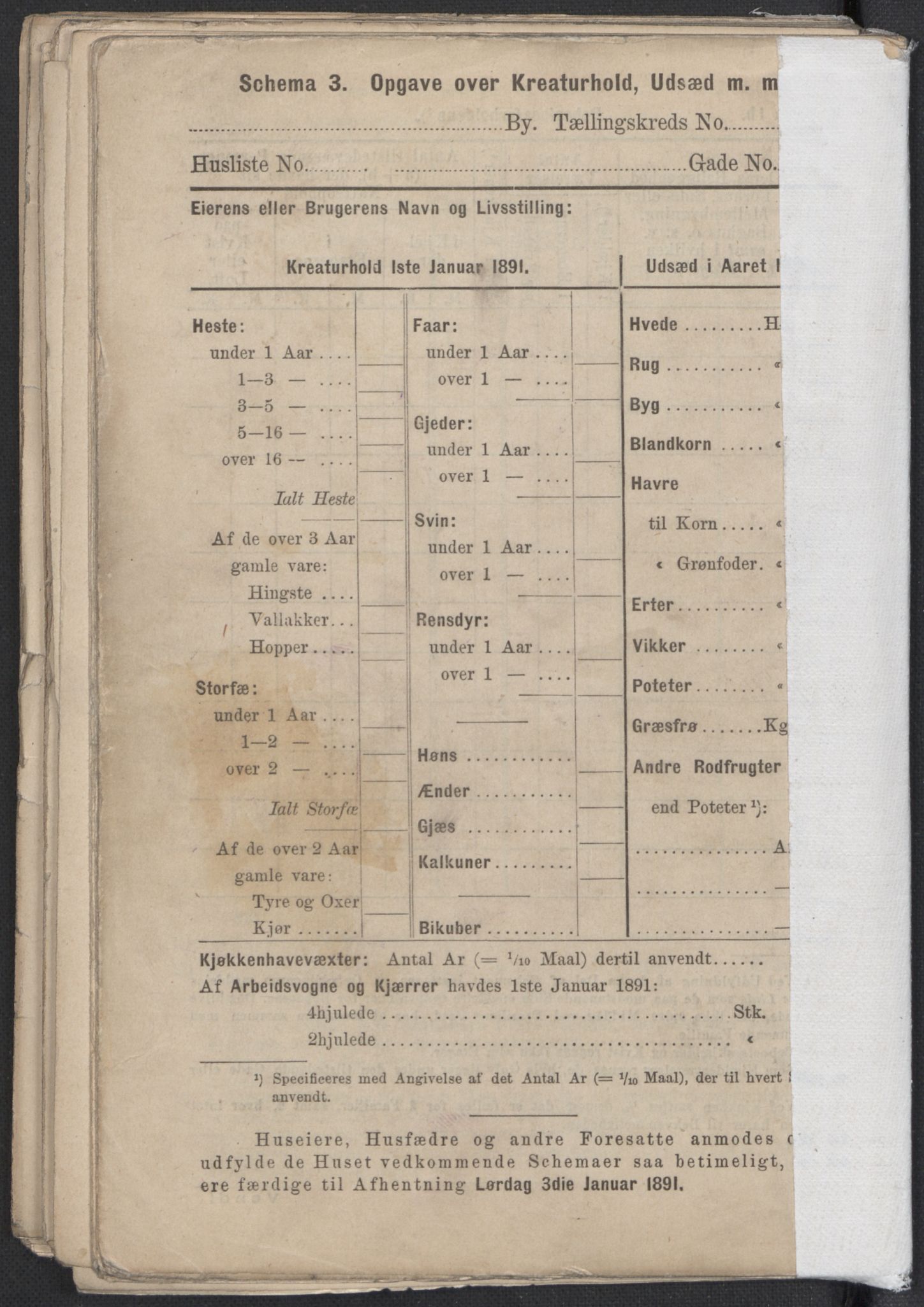 RA, 1891 Census for 1301 Bergen, 1891, p. 8320