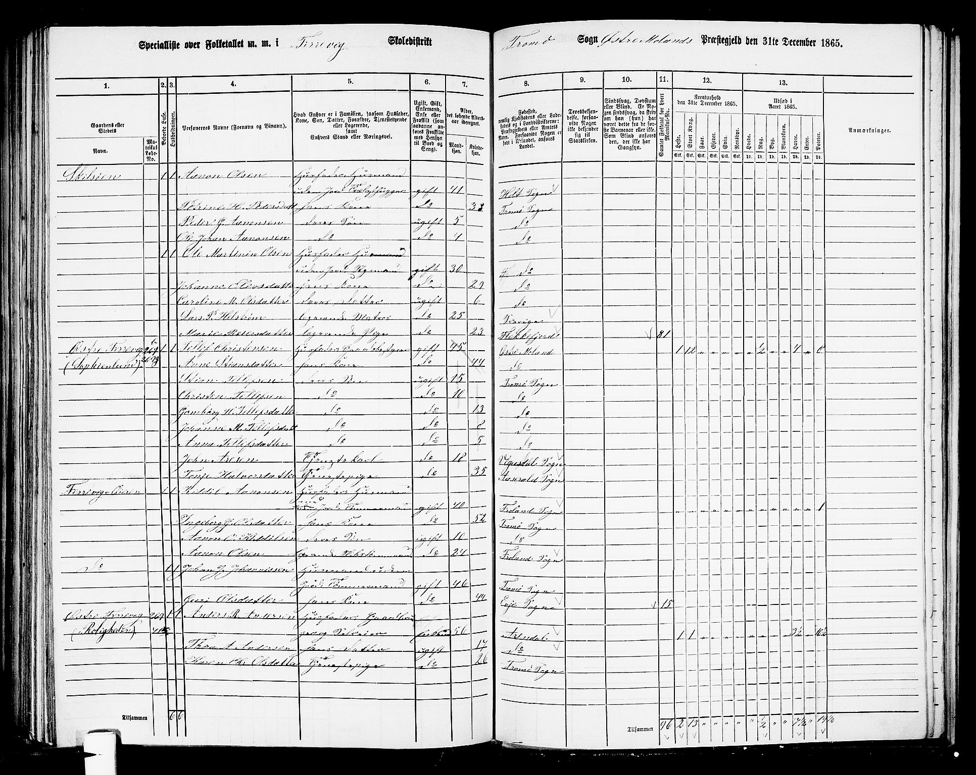 RA, 1865 census for Austre Moland, 1865, p. 260