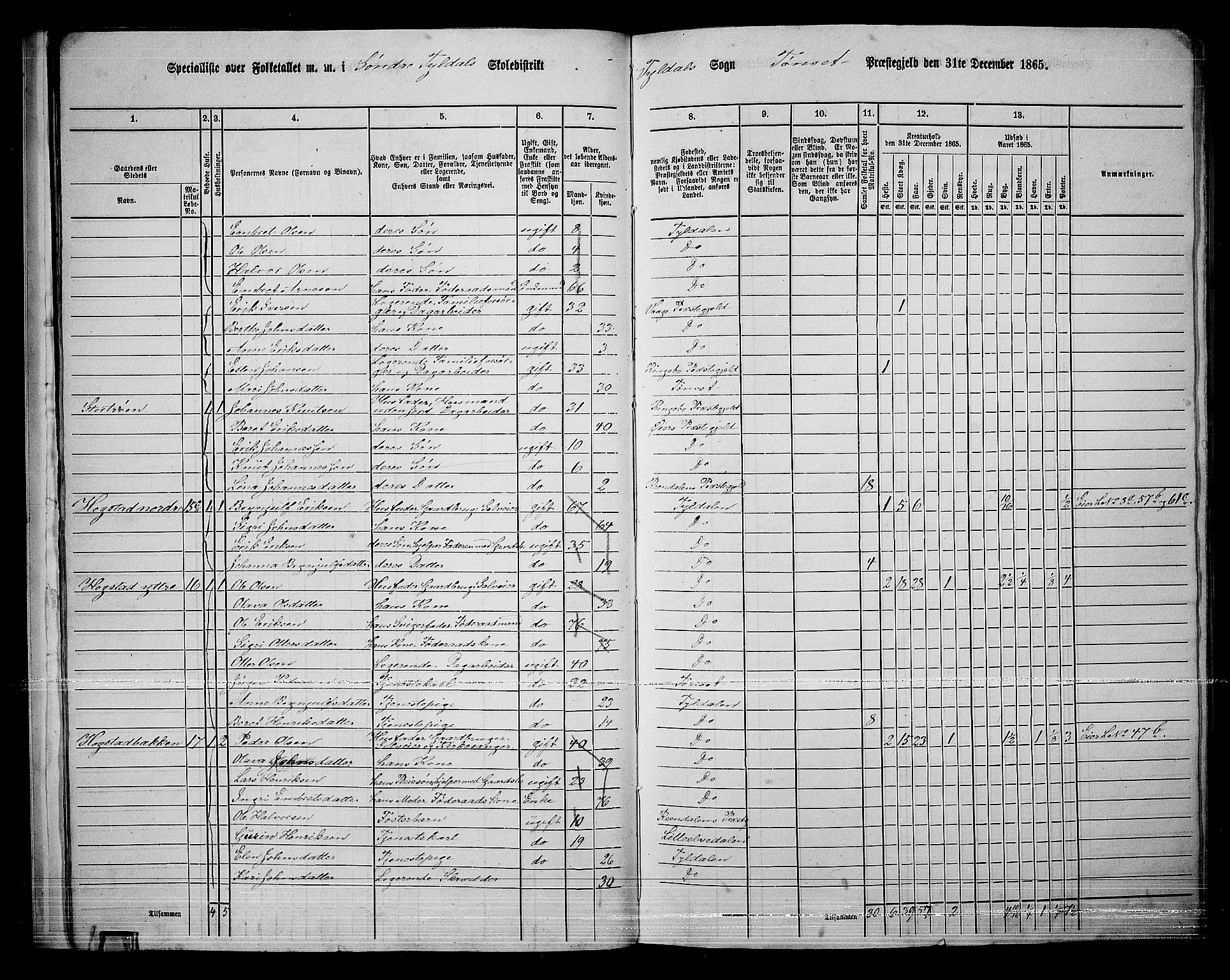 RA, 1865 census for Tynset, 1865, p. 19