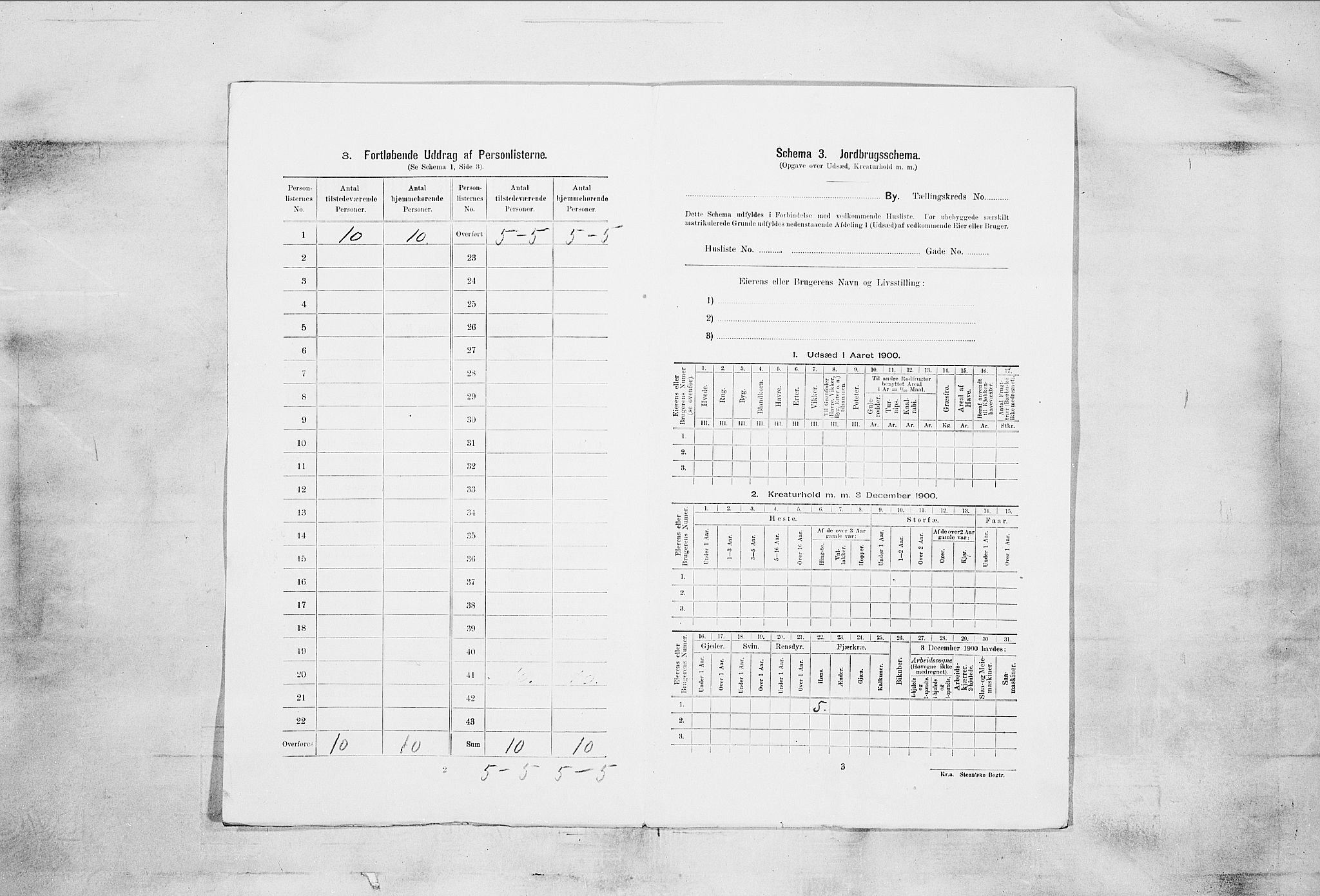 SAKO, 1900 census for Skien, 1900, p. 2098