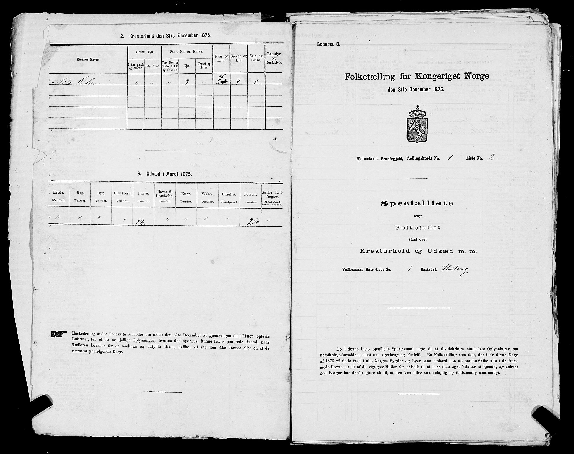 SAST, 1875 census for 1133P Hjelmeland, 1875, p. 71