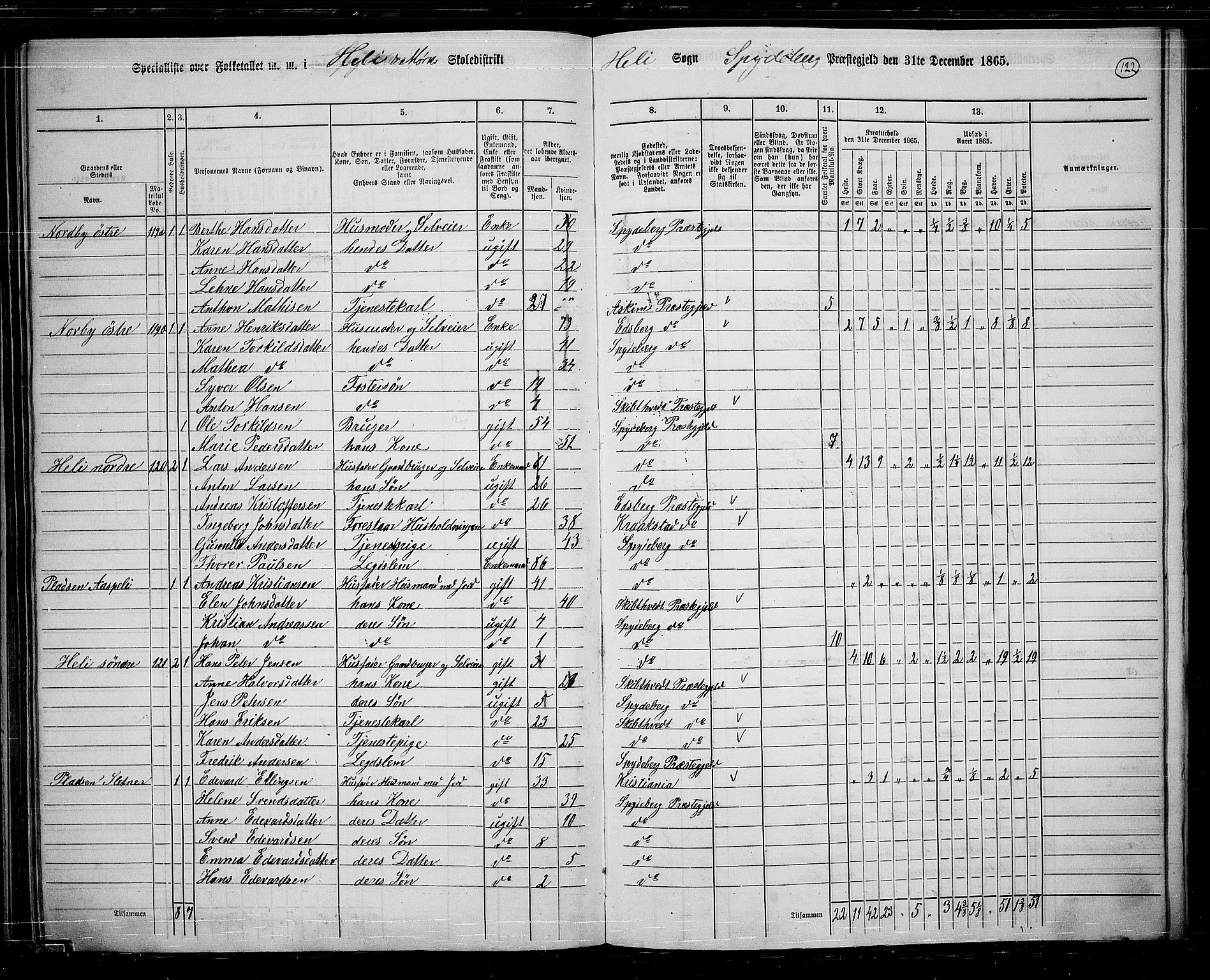 RA, 1865 census for Spydeberg, 1865, p. 105