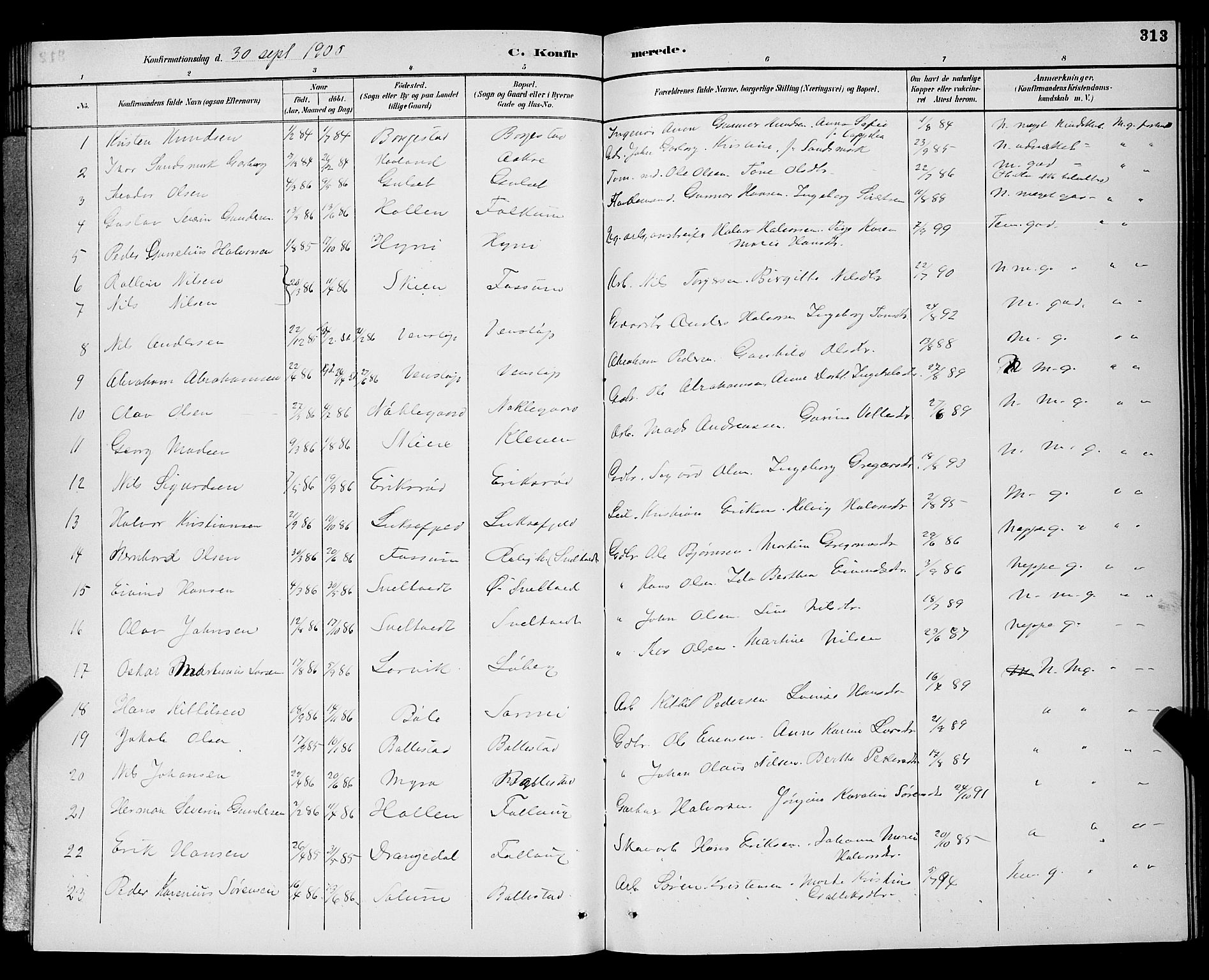 Gjerpen kirkebøker, AV/SAKO-A-265/G/Ga/L0002: Parish register (copy) no. I 2, 1883-1900, p. 313