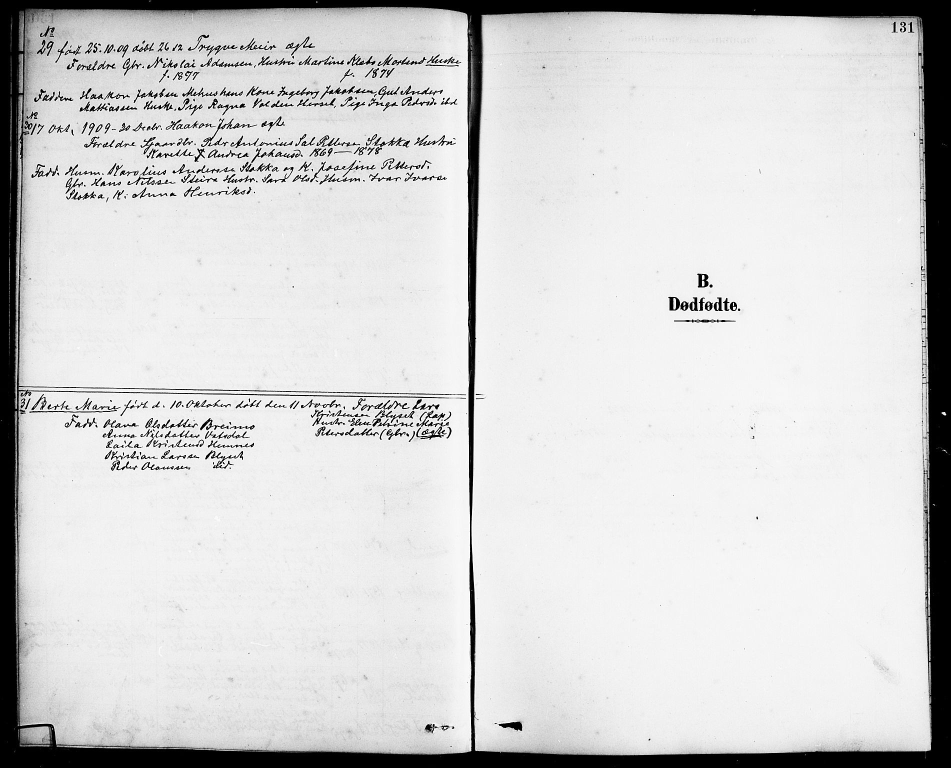 Ministerialprotokoller, klokkerbøker og fødselsregistre - Nordland, SAT/A-1459/838/L0559: Parish register (copy) no. 838C06, 1893-1910, p. 131