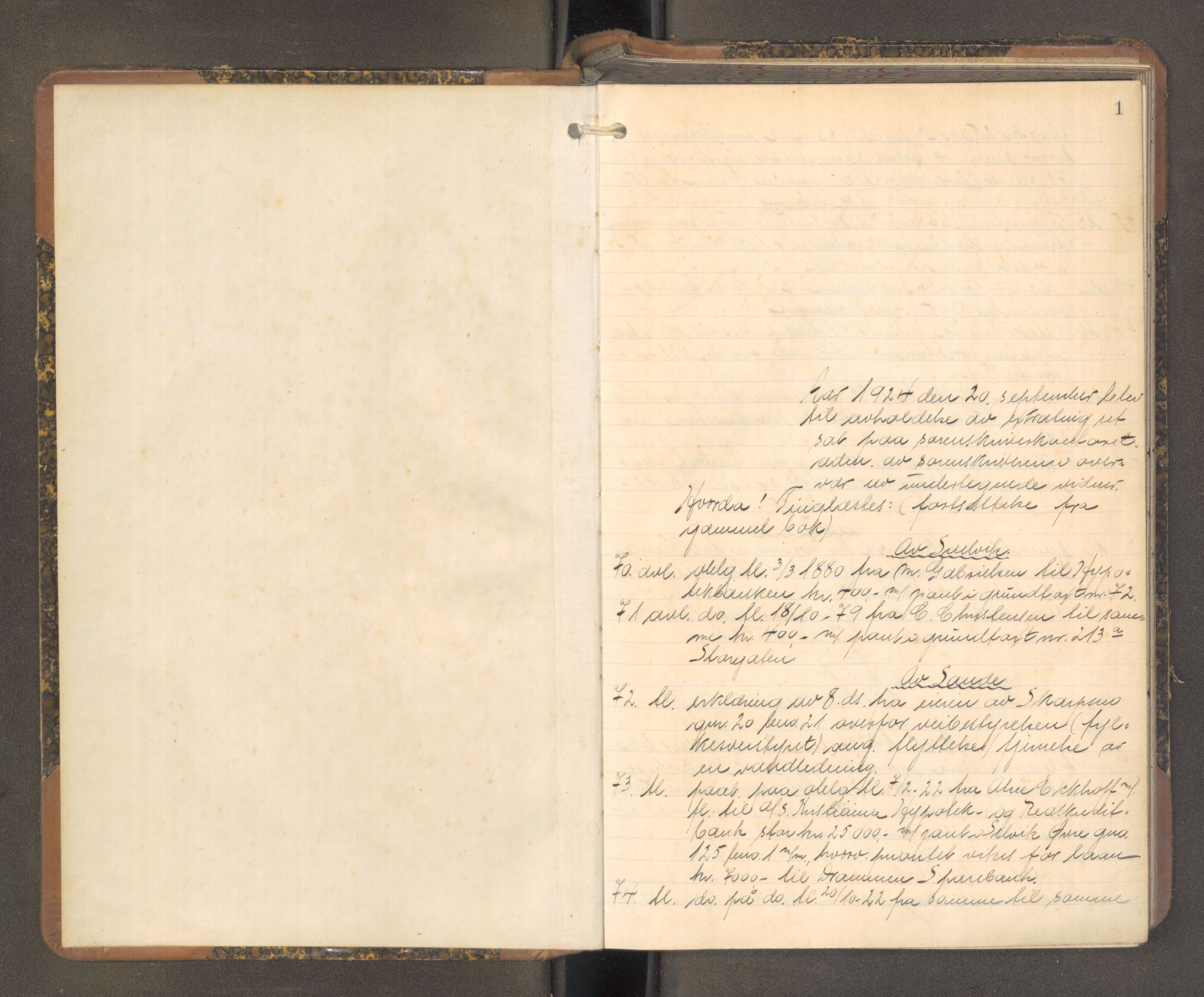 Nordre Jarlsberg sorenskriveri, AV/SAKO-A-80/F/Fa/Faa/L0062: Tingbok, 1924-1927, p. 1