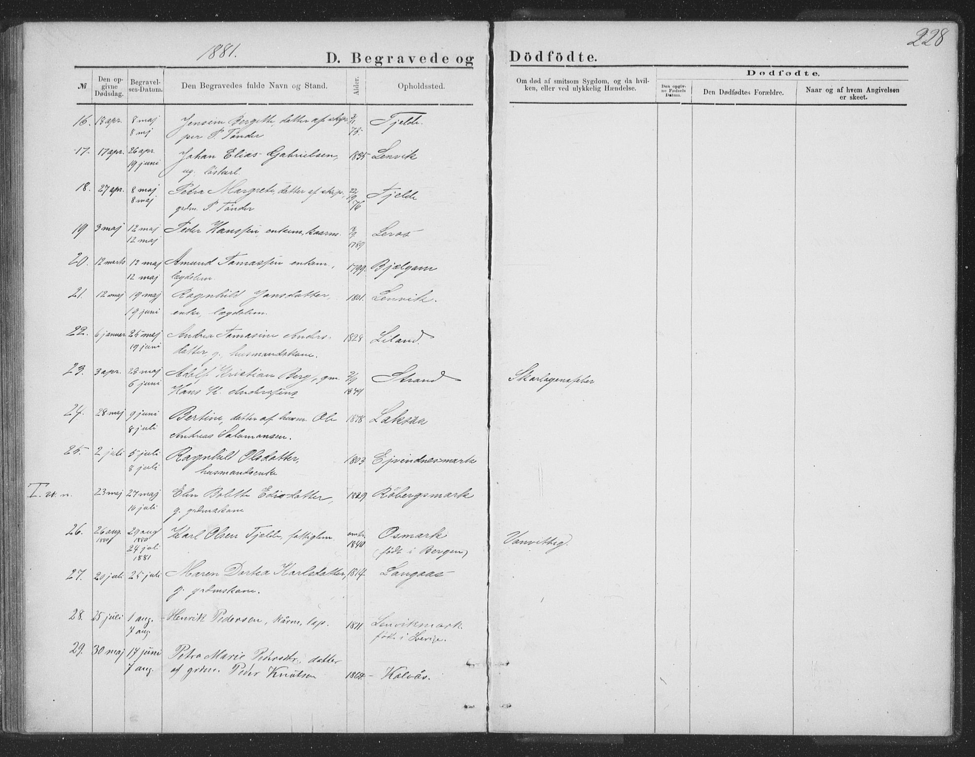 Ministerialprotokoller, klokkerbøker og fødselsregistre - Nordland, AV/SAT-A-1459/863/L0913: Parish register (copy) no. 863C03, 1877-1885, p. 228