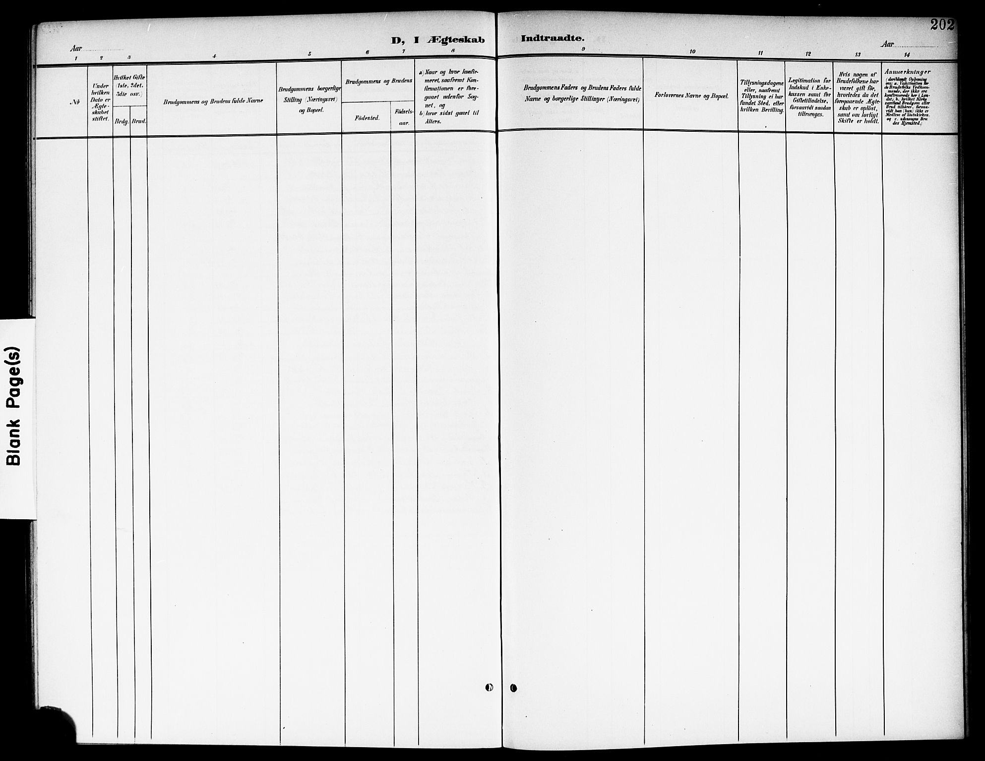 Nes prestekontor Kirkebøker, AV/SAO-A-10410/G/Ga/L0002: Parish register (copy) no. I 2, 1901-1912, p. 202