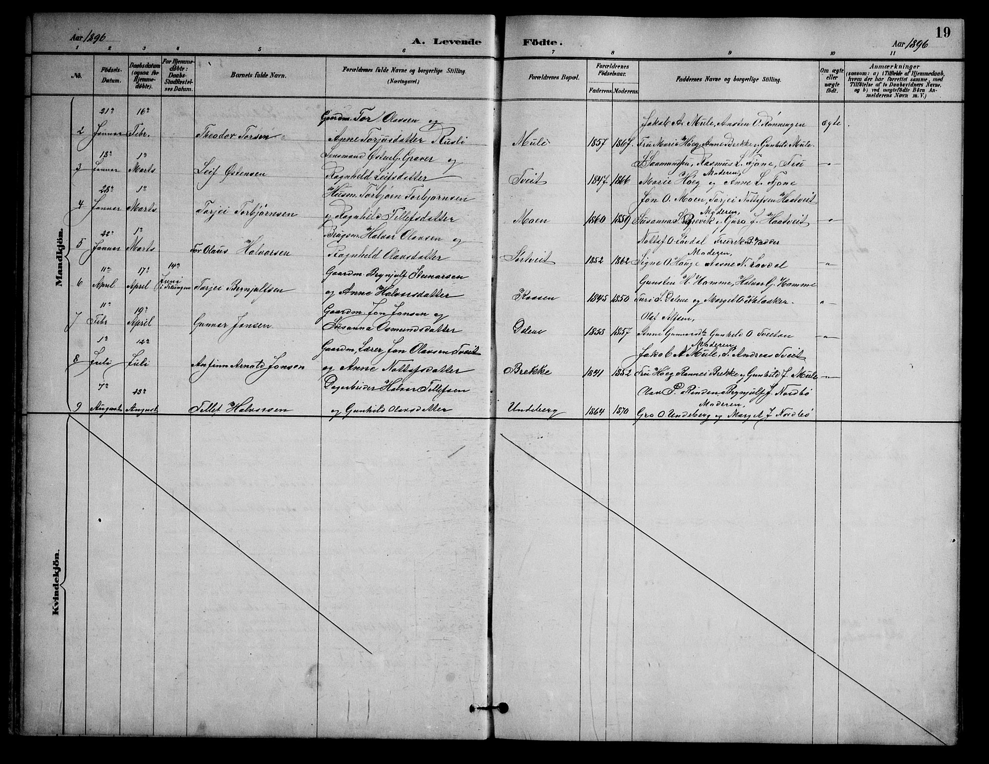 Nissedal kirkebøker, SAKO/A-288/G/Ga/L0003: Parish register (copy) no. I 3, 1887-1911, p. 19