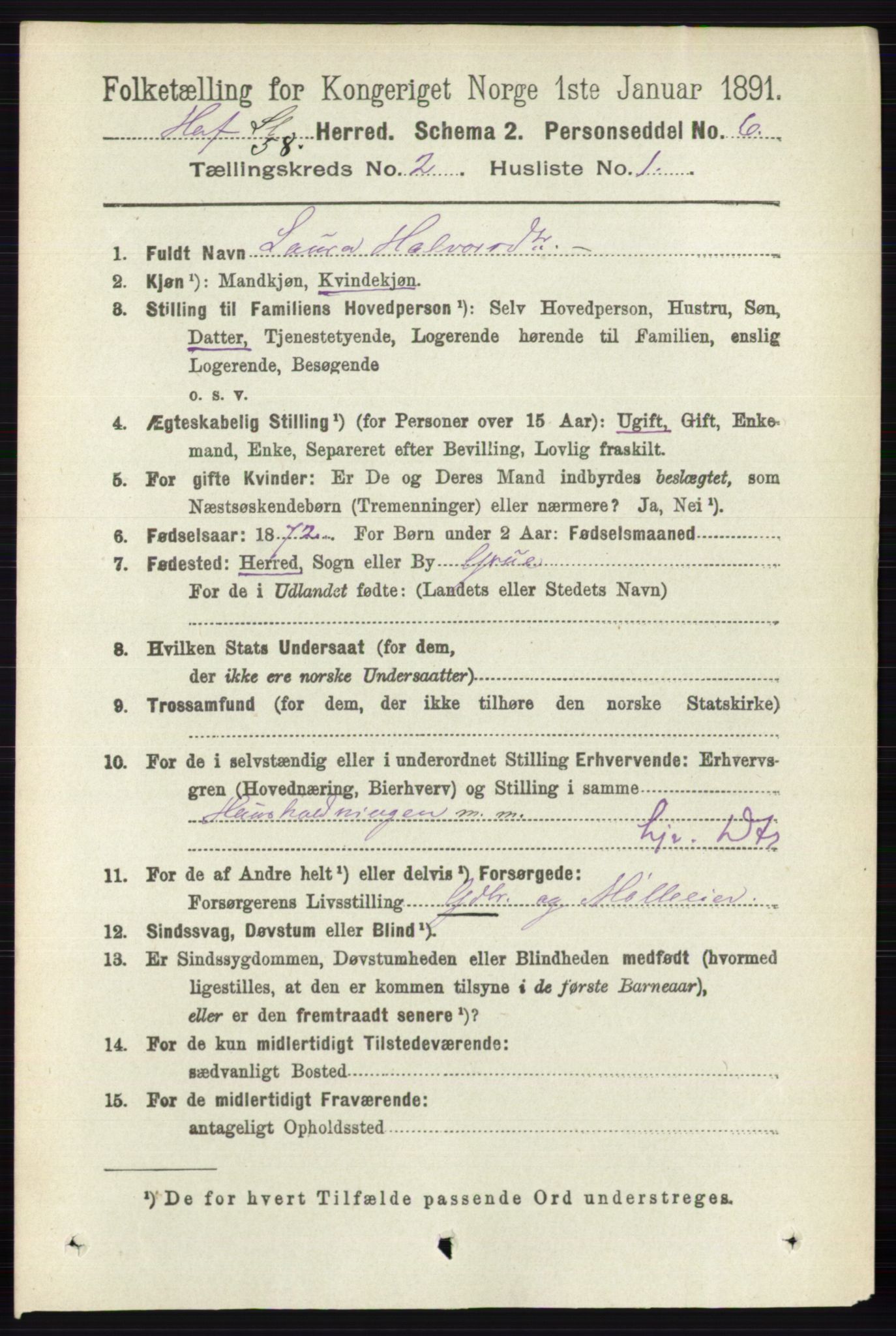 RA, 1891 census for 0424 Hof, 1891, p. 464