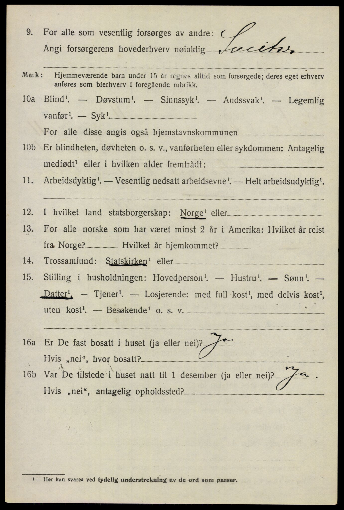 SAO, 1920 census for Nes, 1920, p. 11841