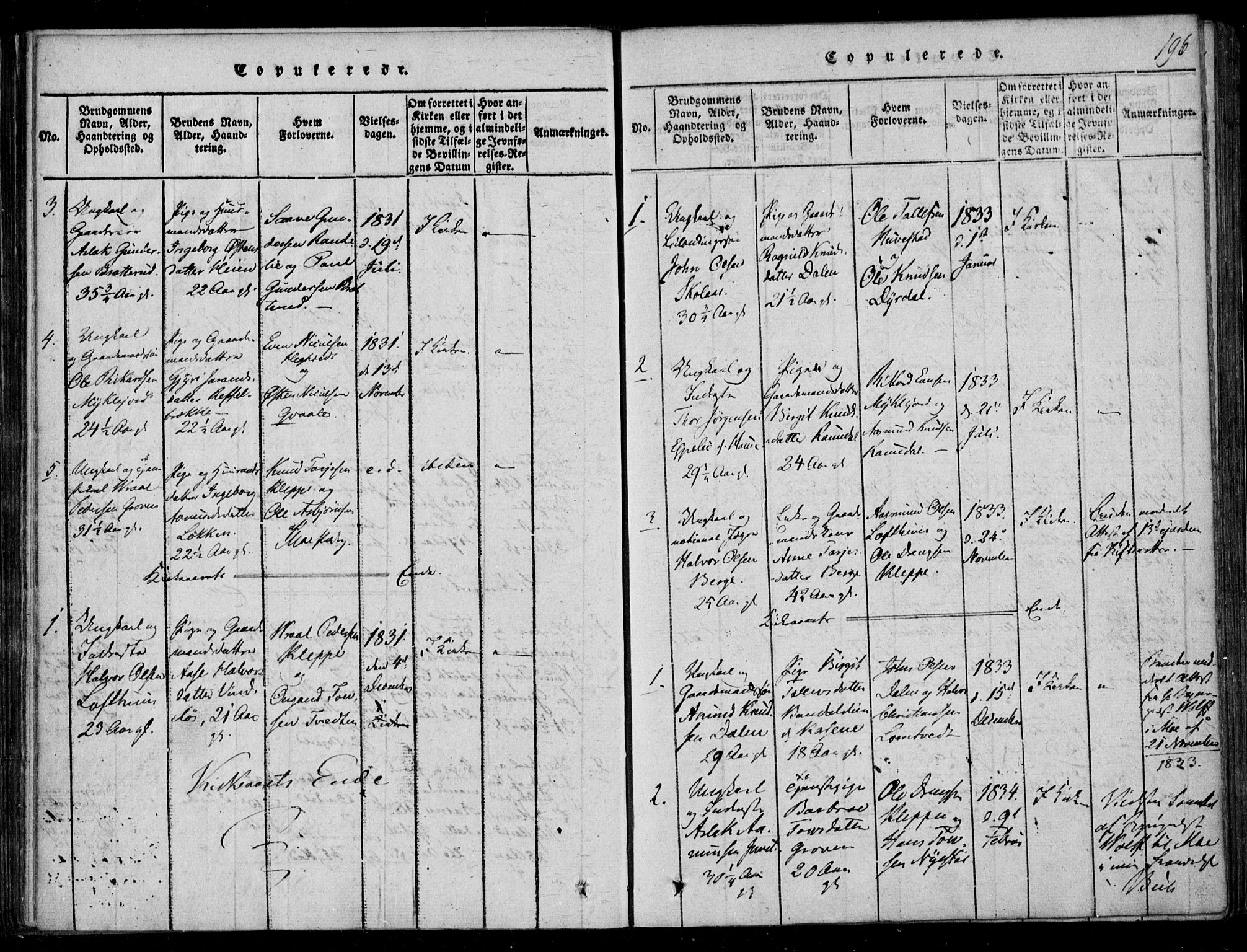 Lårdal kirkebøker, SAKO/A-284/F/Fb/L0001: Parish register (official) no. II 1, 1815-1860, p. 196