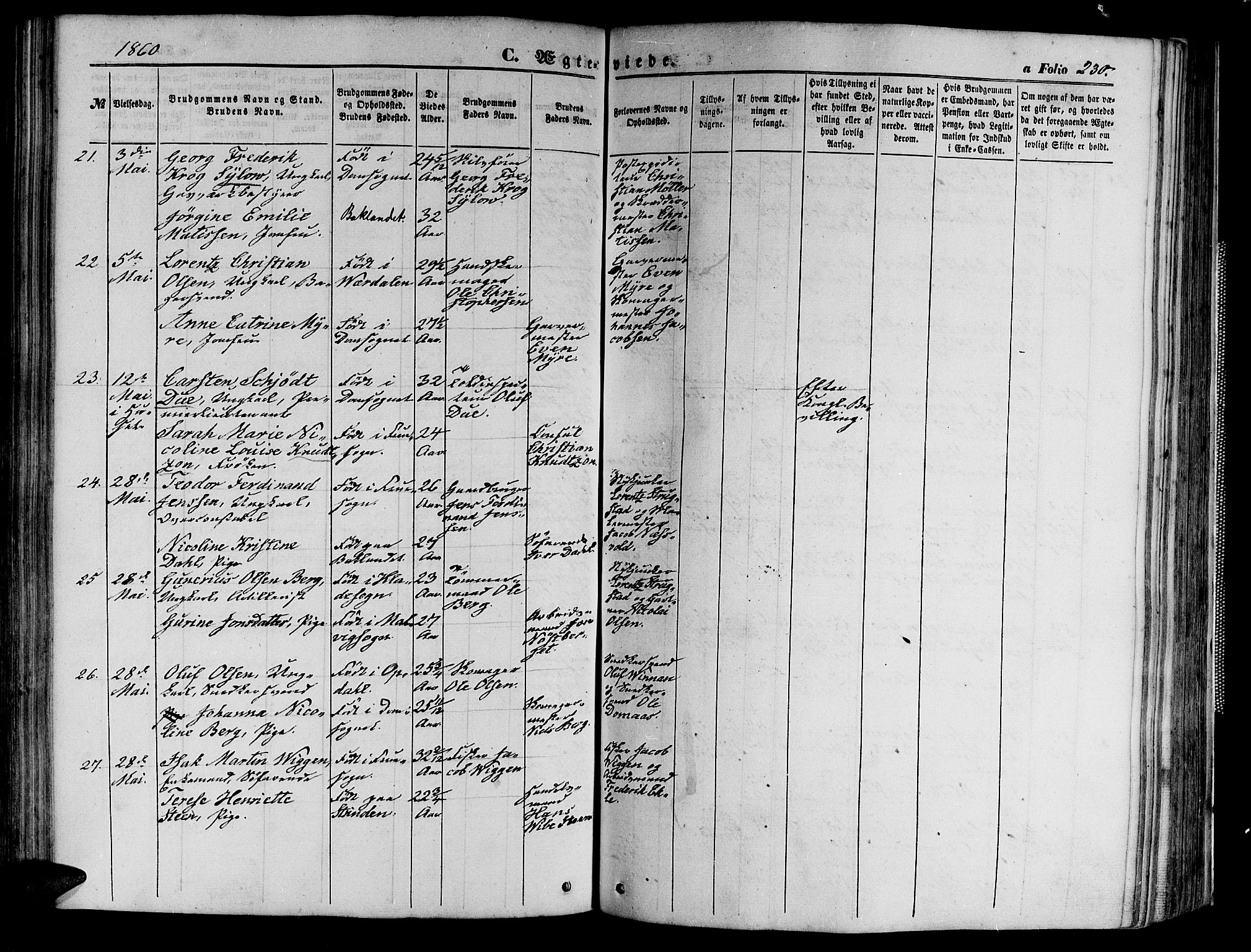 Ministerialprotokoller, klokkerbøker og fødselsregistre - Sør-Trøndelag, AV/SAT-A-1456/602/L0139: Parish register (copy) no. 602C07, 1859-1864, p. 230