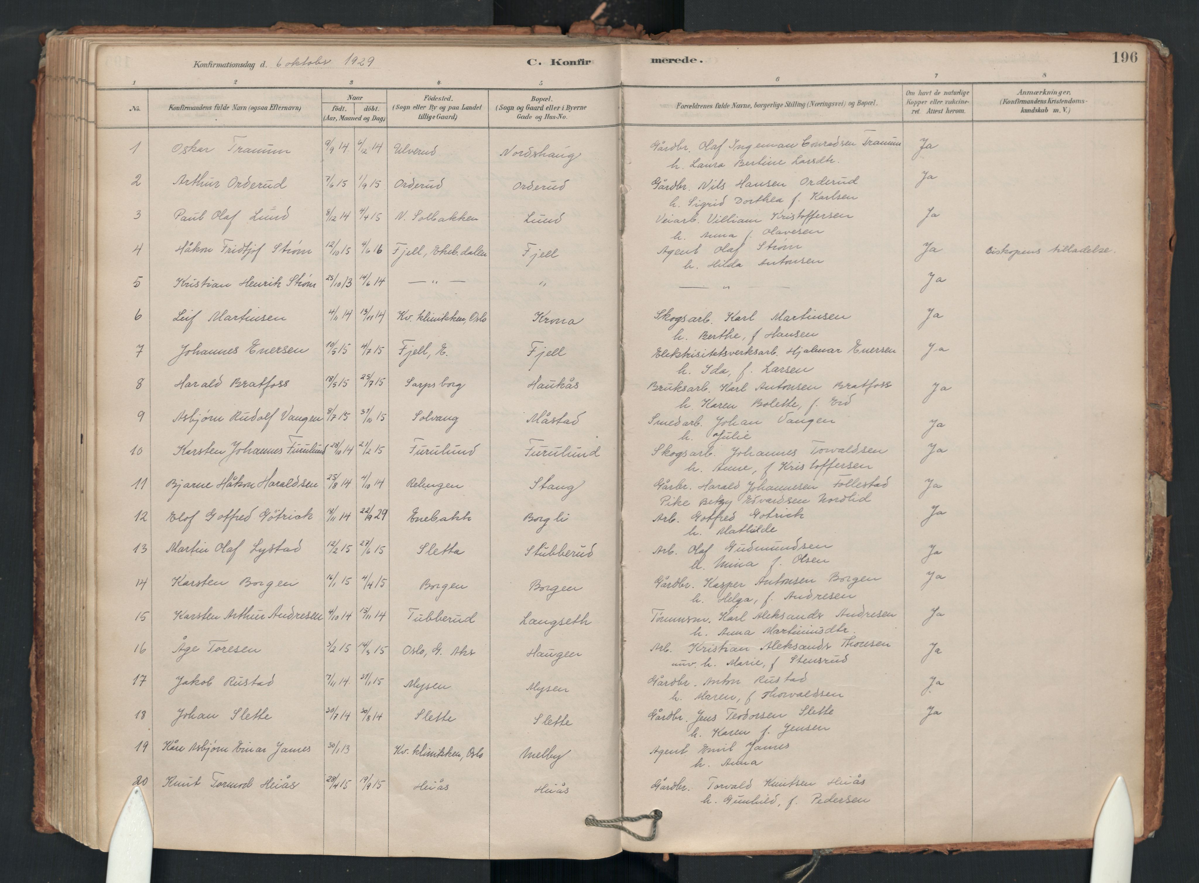 Enebakk prestekontor Kirkebøker, SAO/A-10171c/F/Fa/L0018: Parish register (official) no. I 18, 1877-1930, p. 196