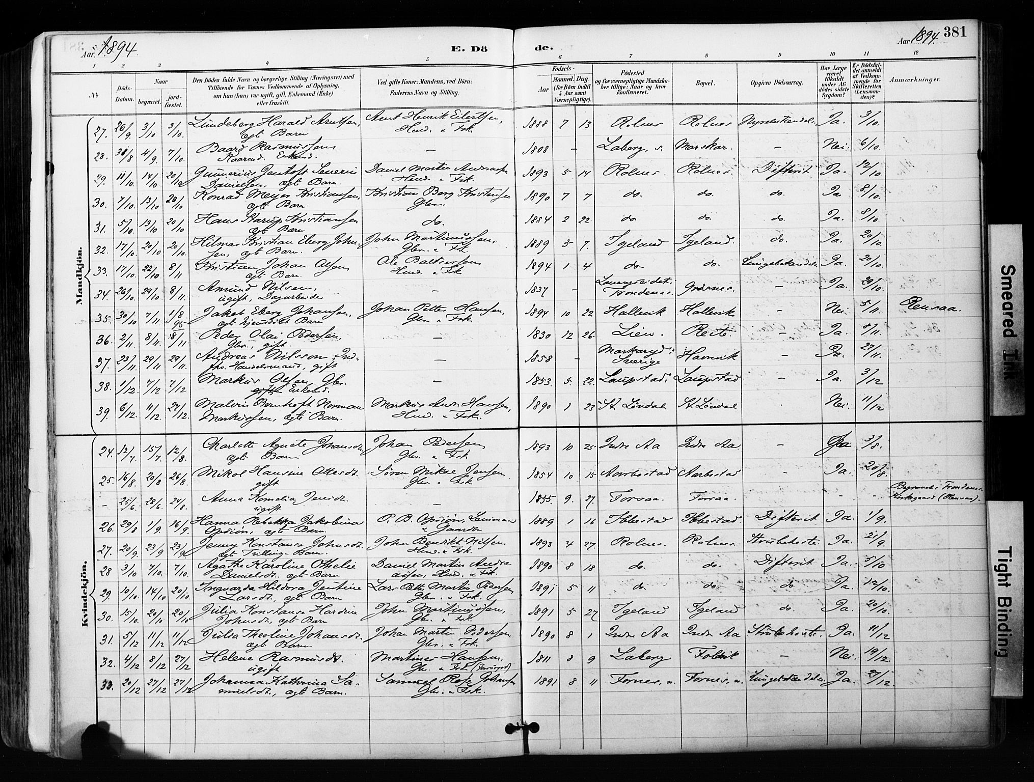 Ibestad sokneprestembete, SATØ/S-0077/H/Ha/Haa/L0012kirke: Parish register (official) no. 12, 1890-1900, p. 381