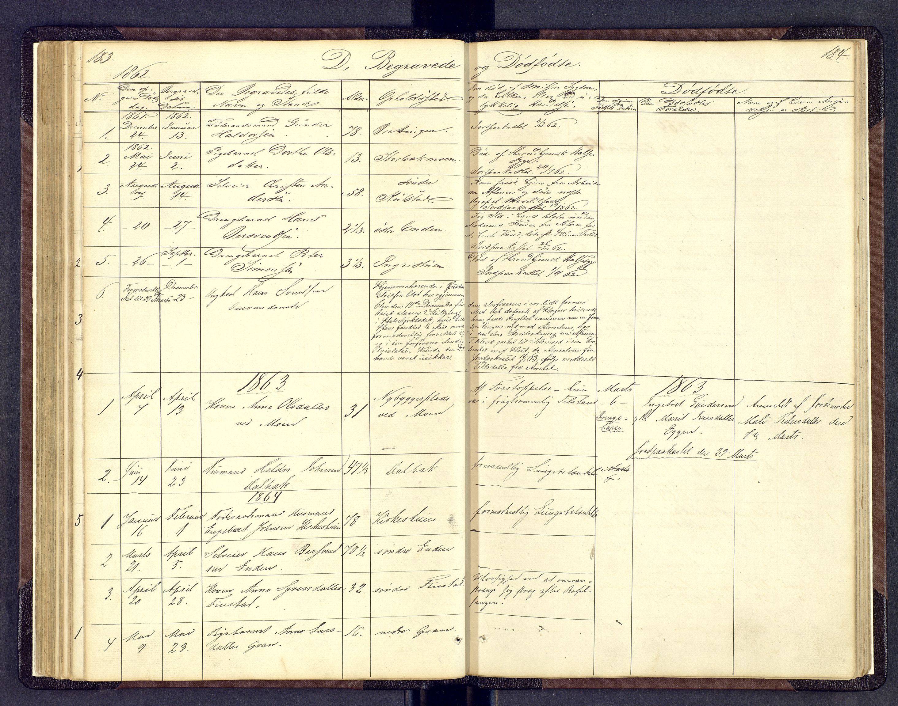 Sollia prestekontor, SAH/PREST-050/H/Ha/Hab/L0001: Parish register (copy) no. 1, 1862-1879, p. 183-184