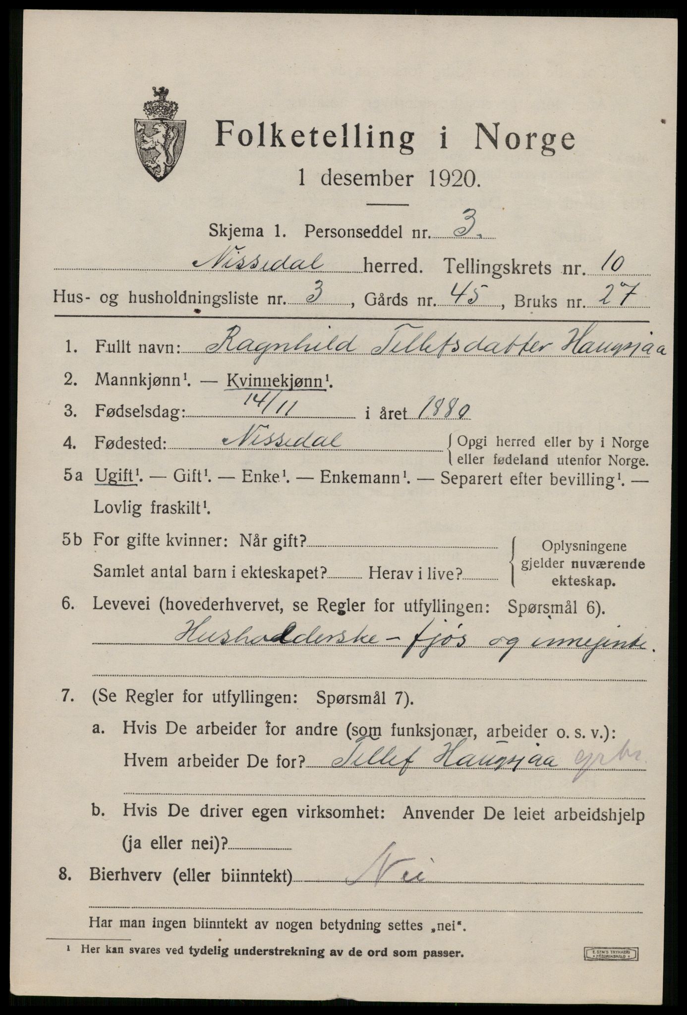 SAKO, 1920 census for Nissedal, 1920, p. 3905