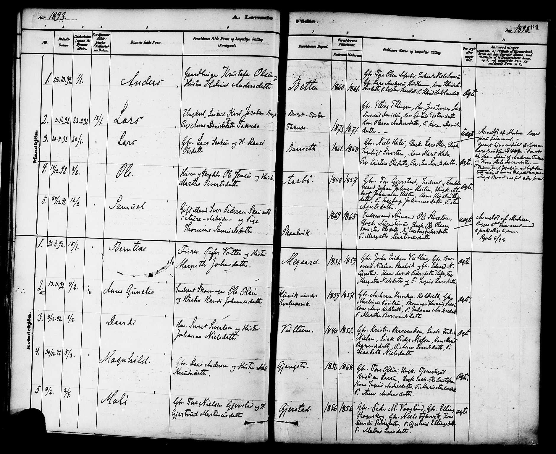 Ministerialprotokoller, klokkerbøker og fødselsregistre - Møre og Romsdal, SAT/A-1454/576/L0885: Parish register (official) no. 576A03, 1880-1898, p. 61
