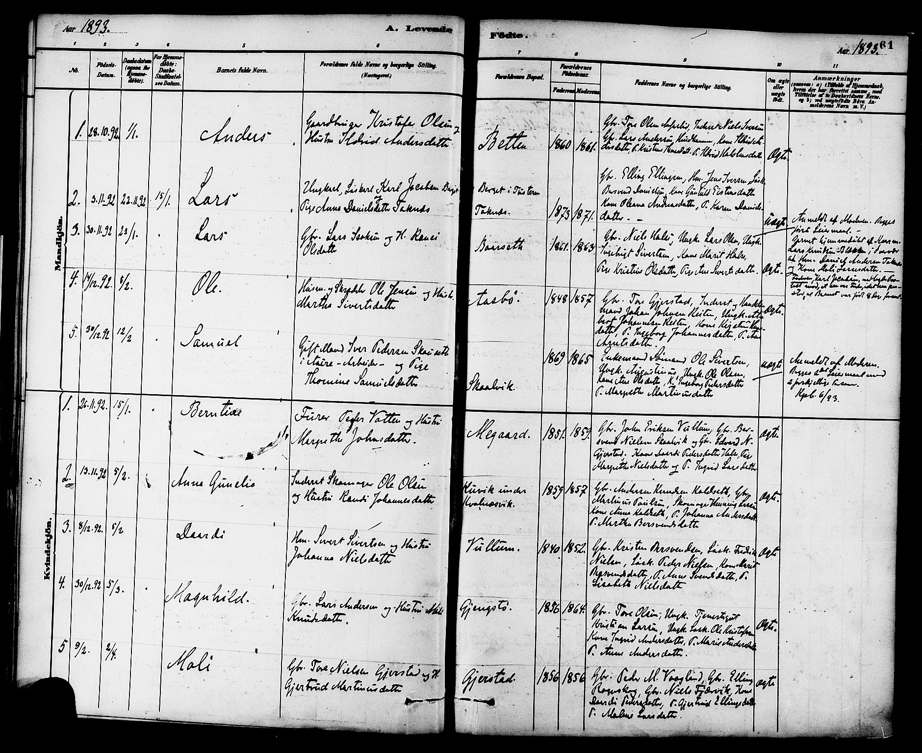 Ministerialprotokoller, klokkerbøker og fødselsregistre - Møre og Romsdal, AV/SAT-A-1454/576/L0885: Parish register (official) no. 576A03, 1880-1898, p. 61