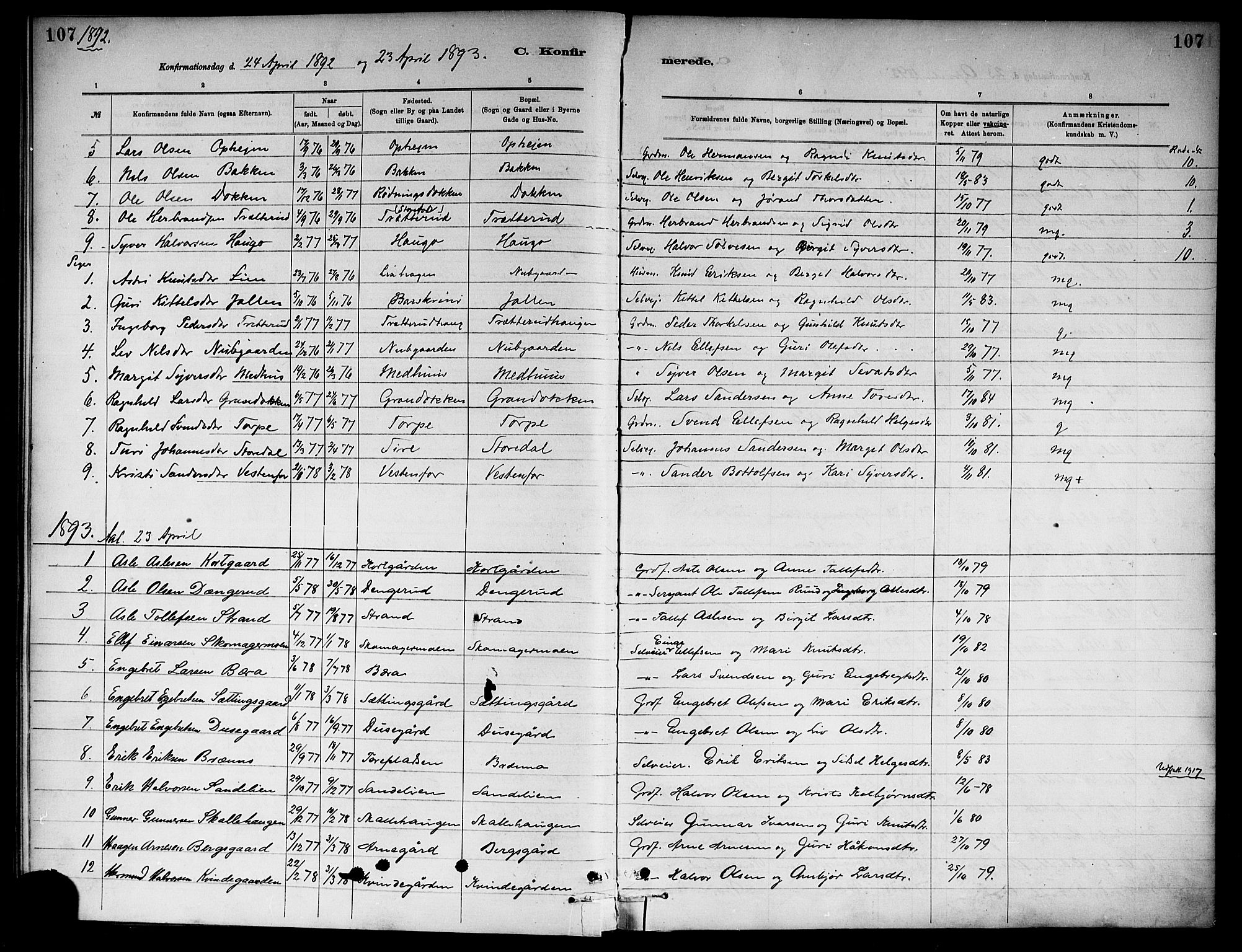 Ål kirkebøker, SAKO/A-249/F/Fa/L0008: Parish register (official) no. I 8, 1882-1896, p. 107