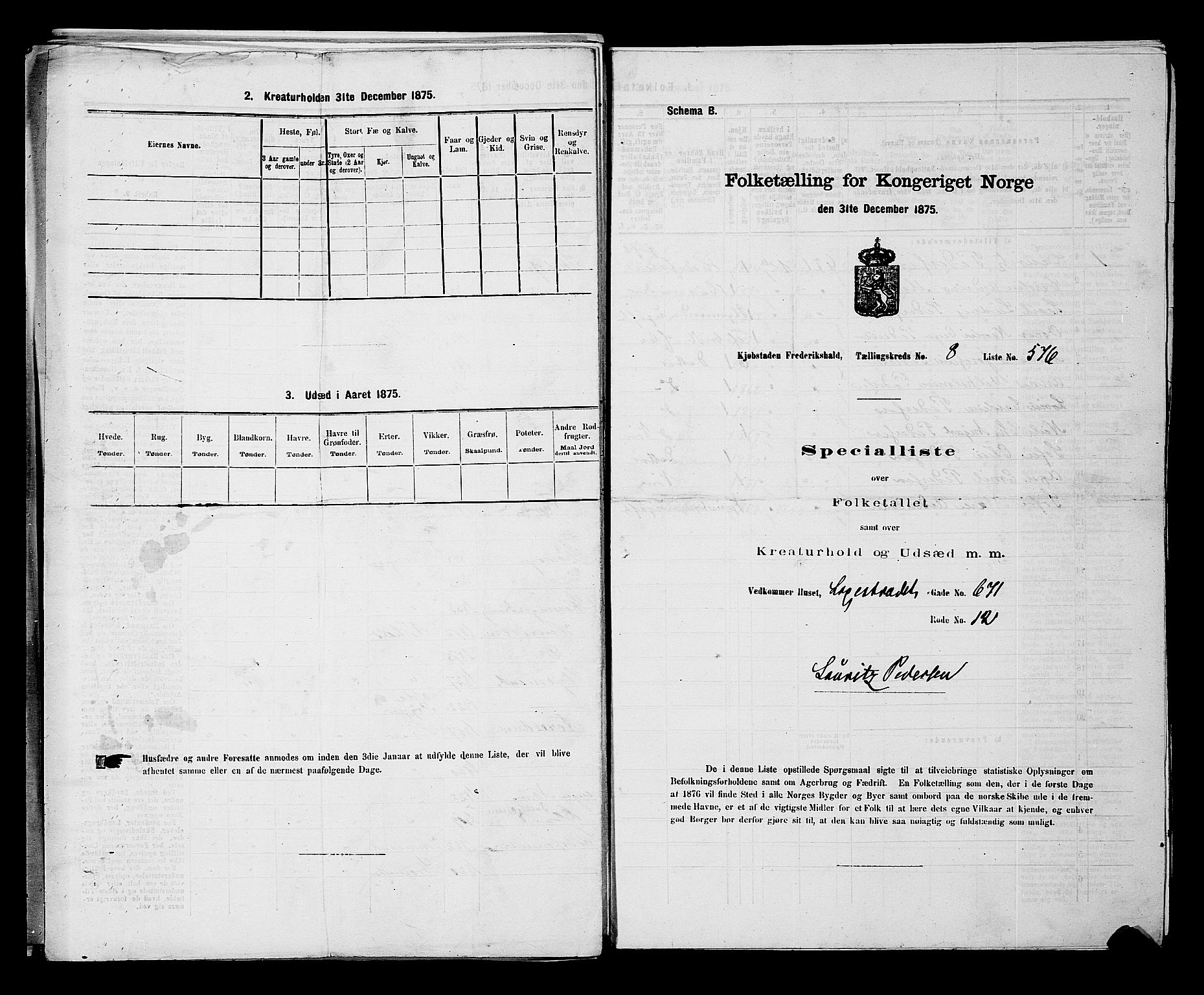 RA, 1875 census for 0101P Fredrikshald, 1875, p. 1401