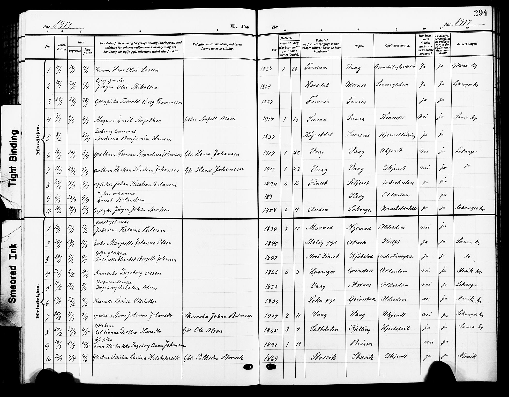 Ministerialprotokoller, klokkerbøker og fødselsregistre - Nordland, AV/SAT-A-1459/805/L0110: Parish register (copy) no. 805C06, 1909-1924, p. 294