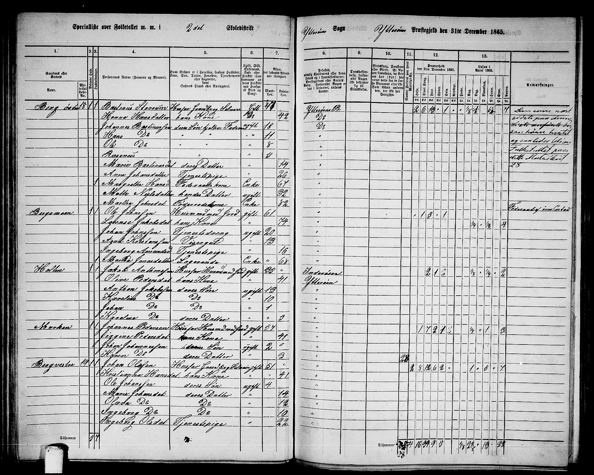 RA, 1865 census for Ytterøy, 1865, p. 41