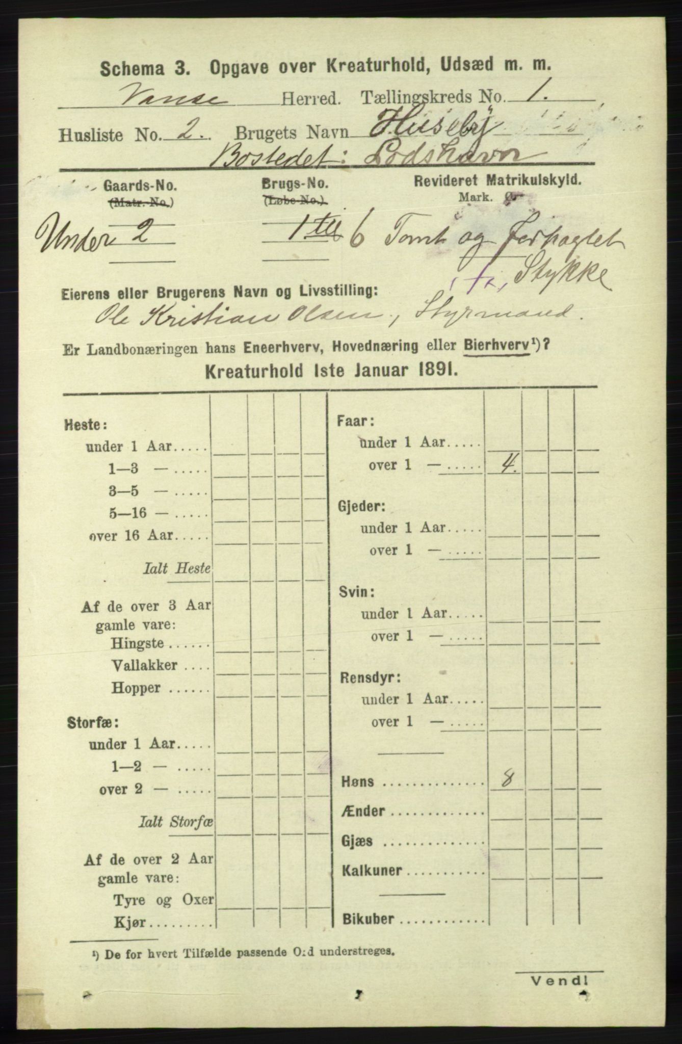 RA, 1891 census for 1041 Vanse, 1891, p. 7806