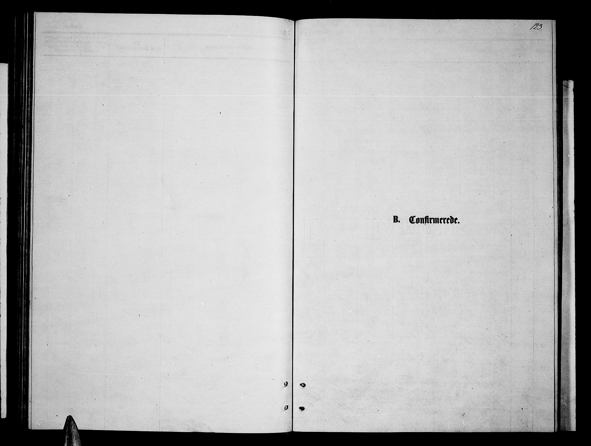 Ibestad sokneprestembete, SATØ/S-0077/H/Ha/Hab/L0006klokker: Parish register (copy) no. 6, 1871-1879, p. 123