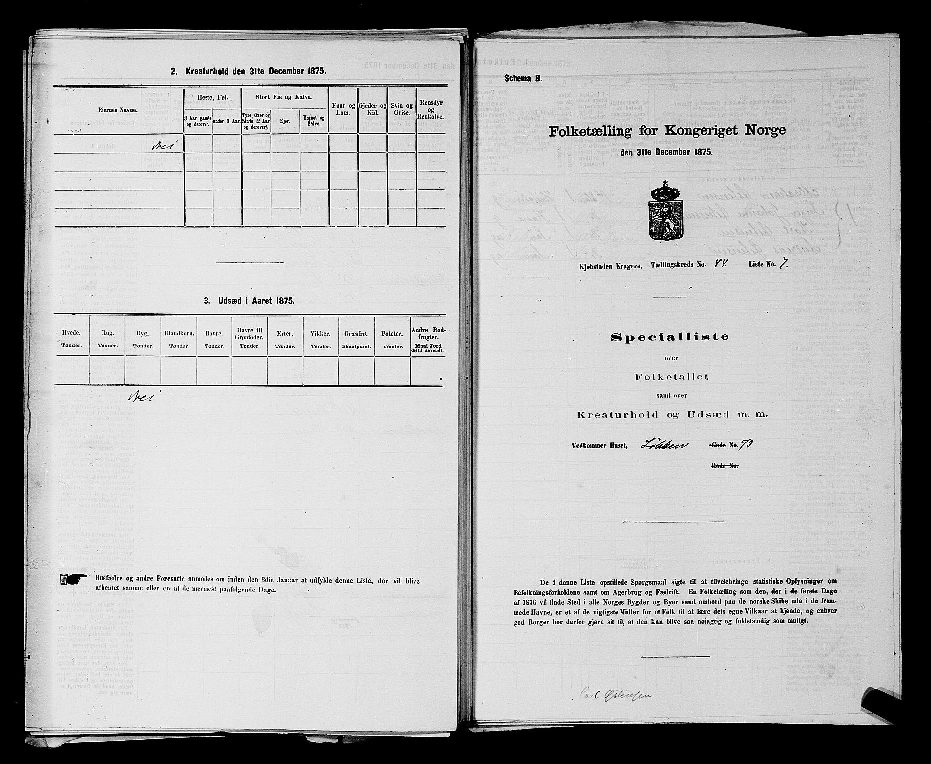 SAKO, 1875 census for 0801P Kragerø, 1875, p. 976