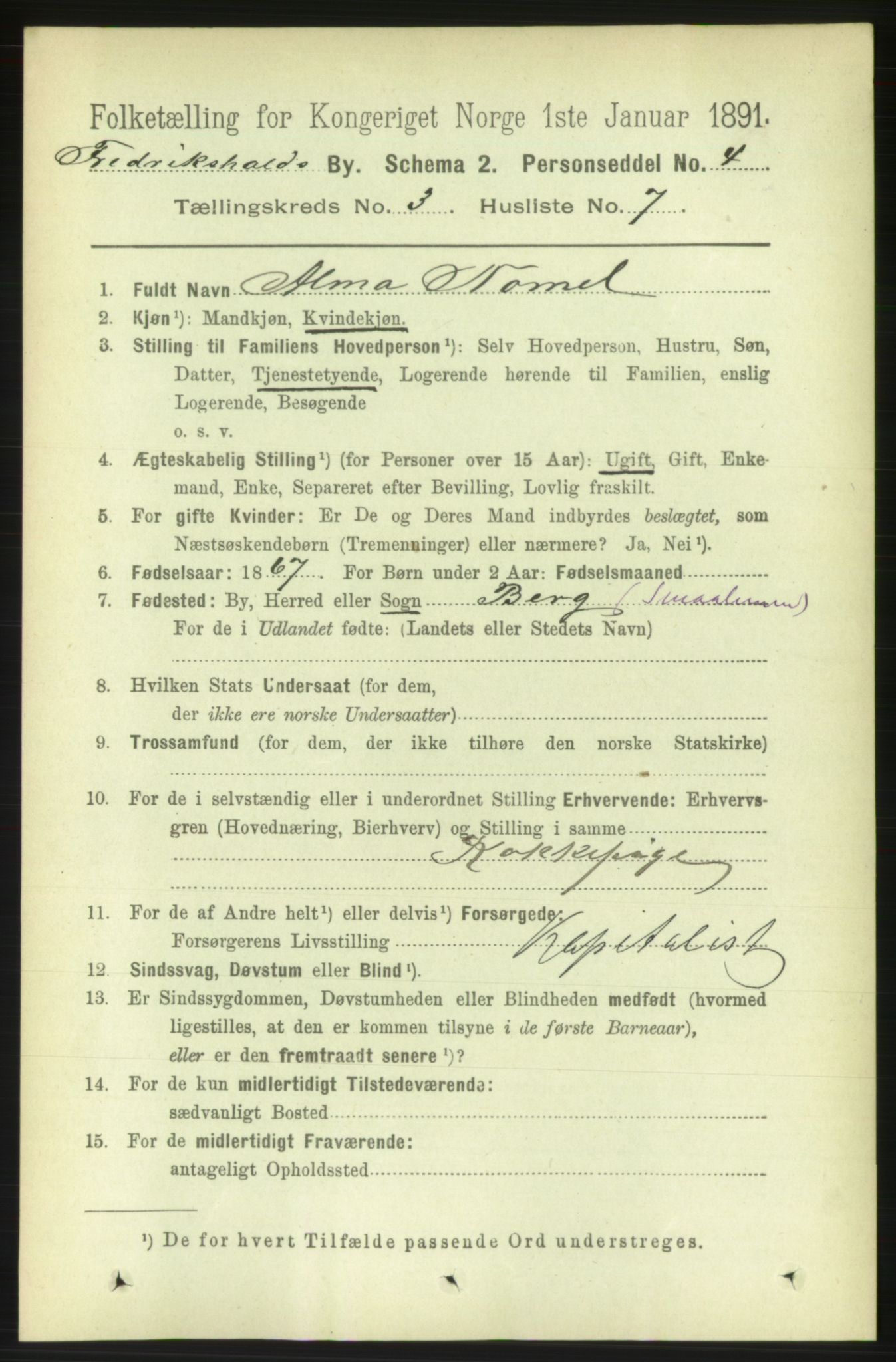 RA, 1891 census for 0101 Fredrikshald, 1891, p. 3331
