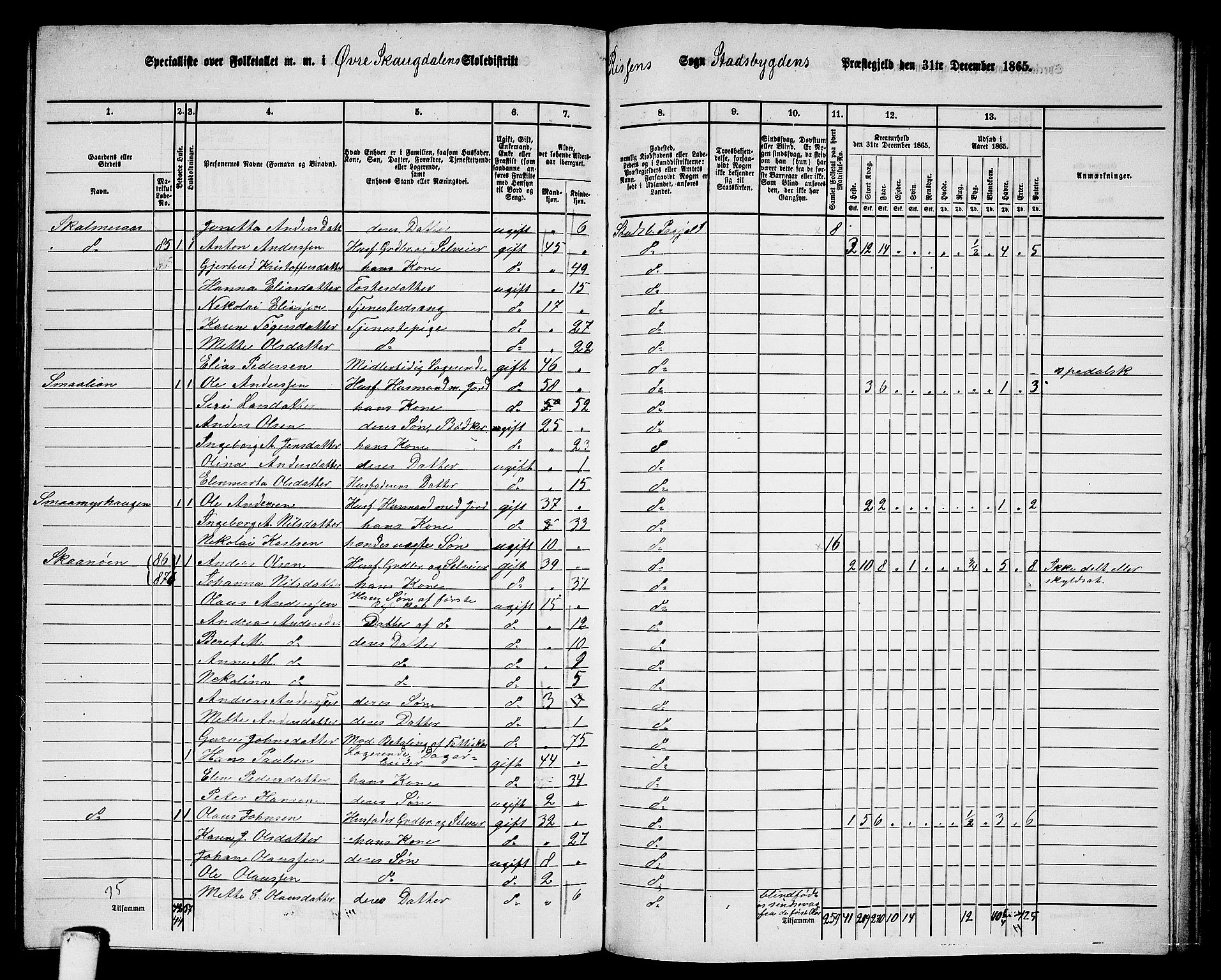 RA, 1865 census for Stadsbygd, 1865, p. 164